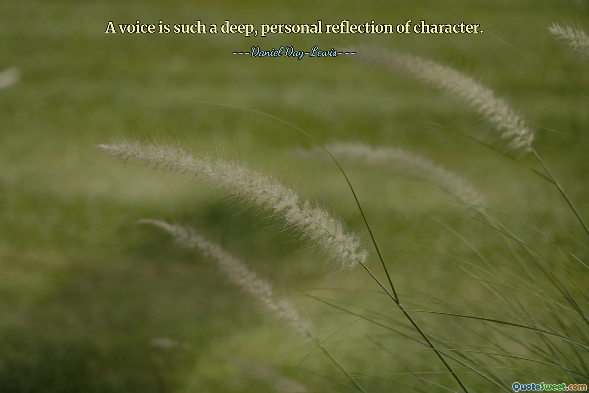 A voice is such a deep, personal reflection of character.