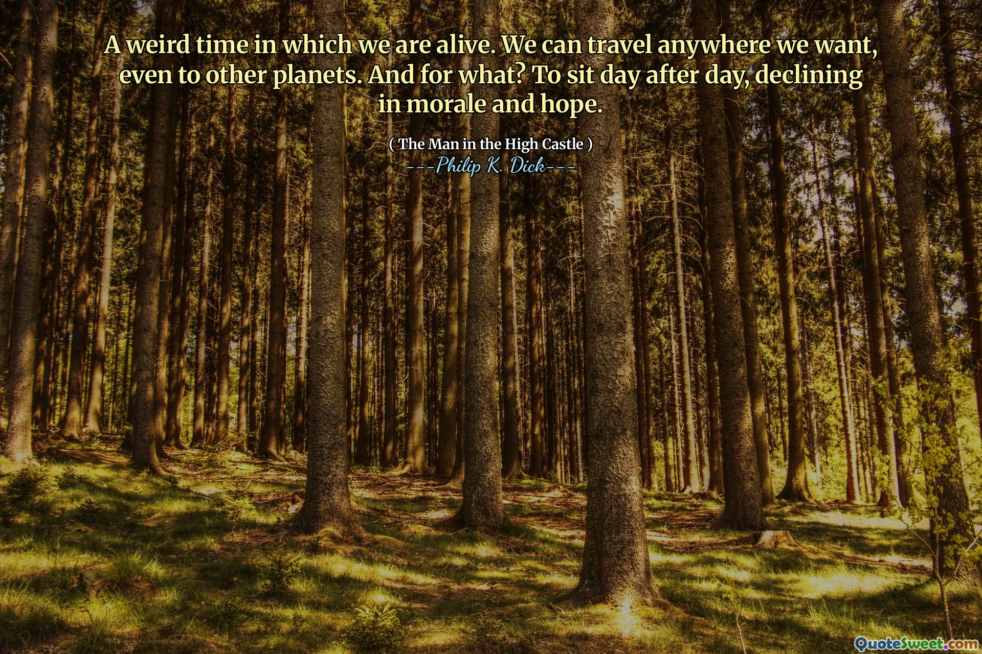 A weird time in which we are alive. We can travel anywhere we want, even to other planets. And for what? To sit day after day, declining in morale and hope.