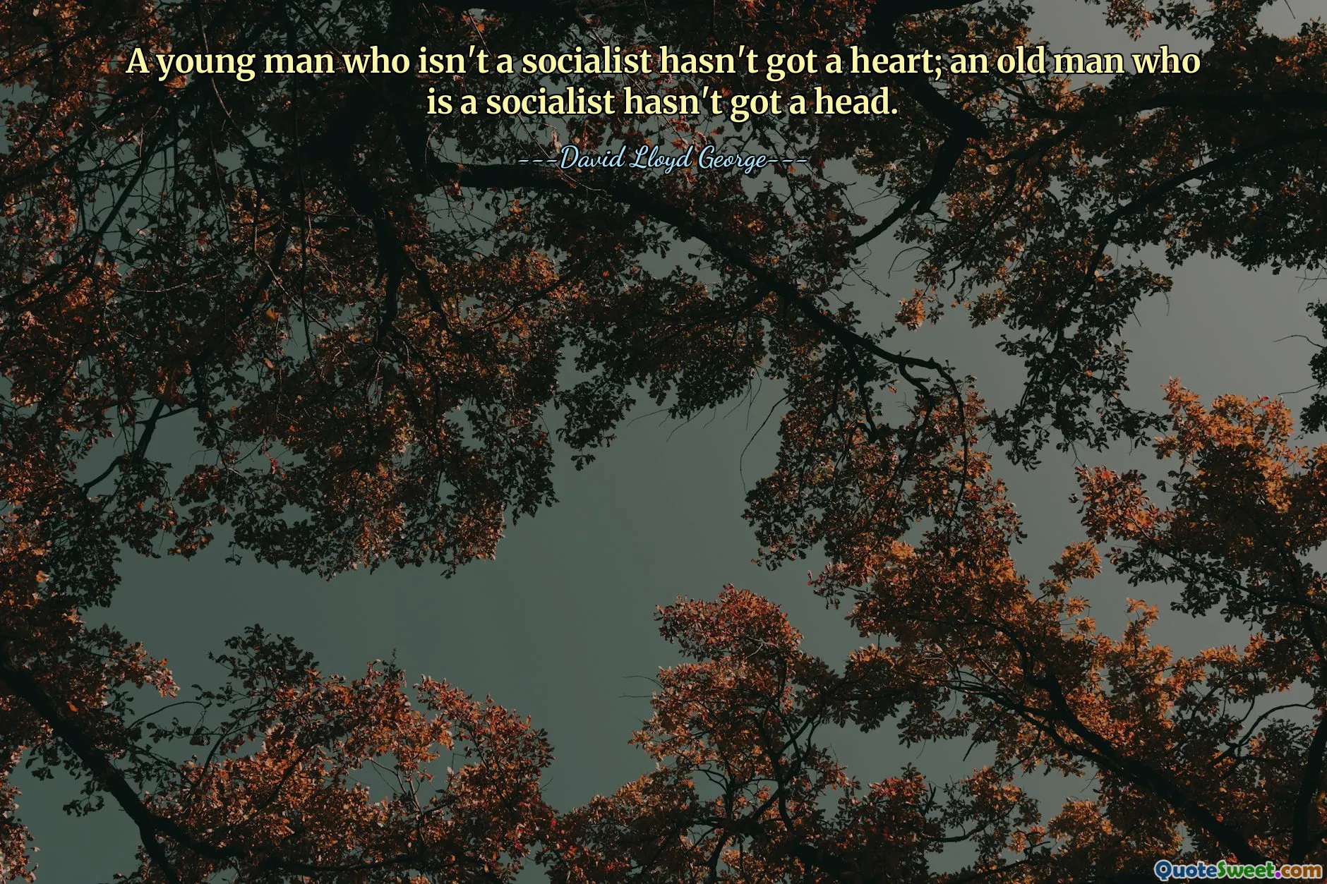 A young man who isn't a socialist hasn't got a heart; an old man who is a socialist hasn't got a head.
