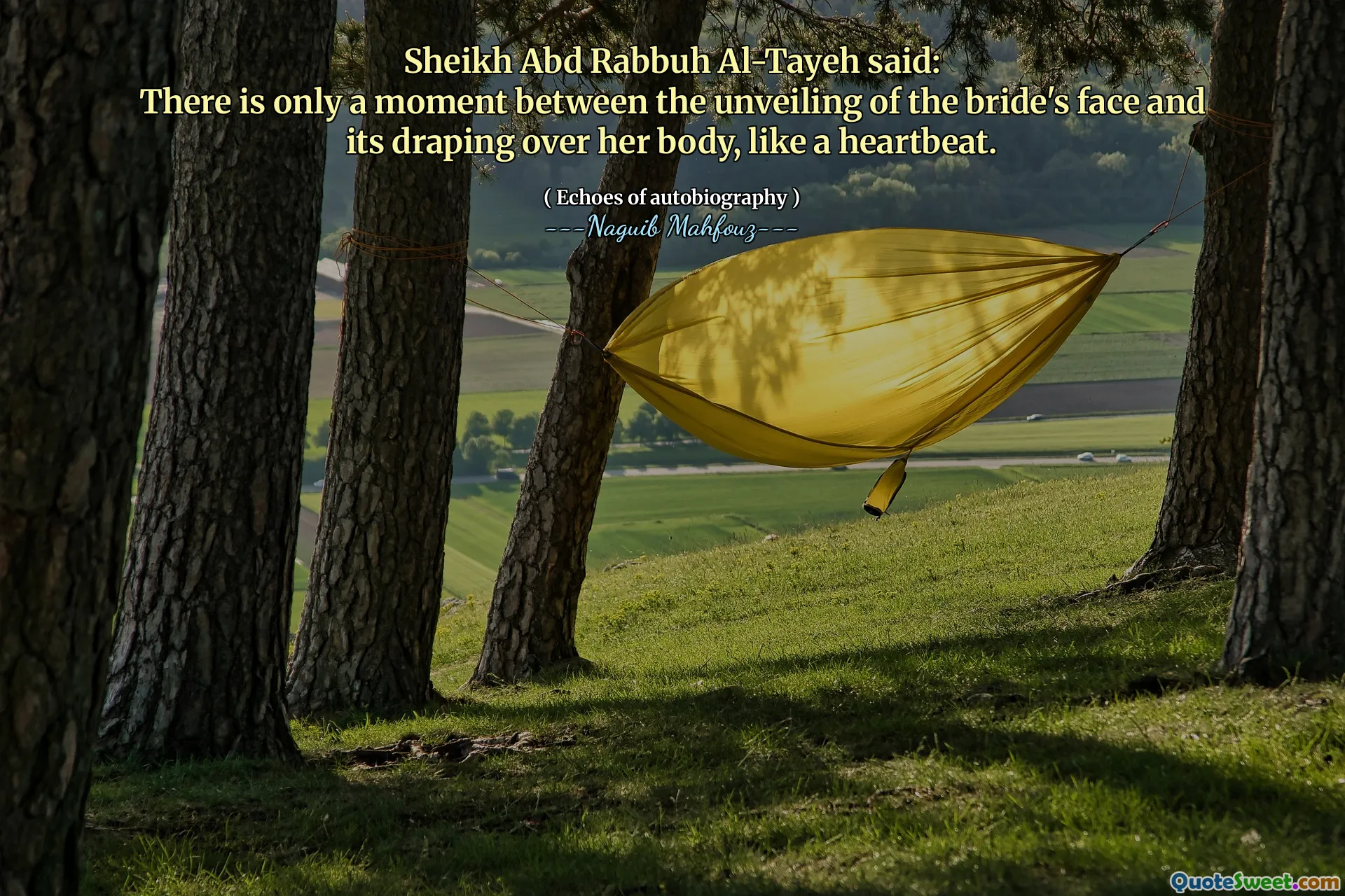 Sheikh Abd Rabbuh al-Tayeh disse:
Há apenas um momento entre a inauguração do rosto da noiva e sua cobertura sobre seu corpo, como um batimento cardíaco.