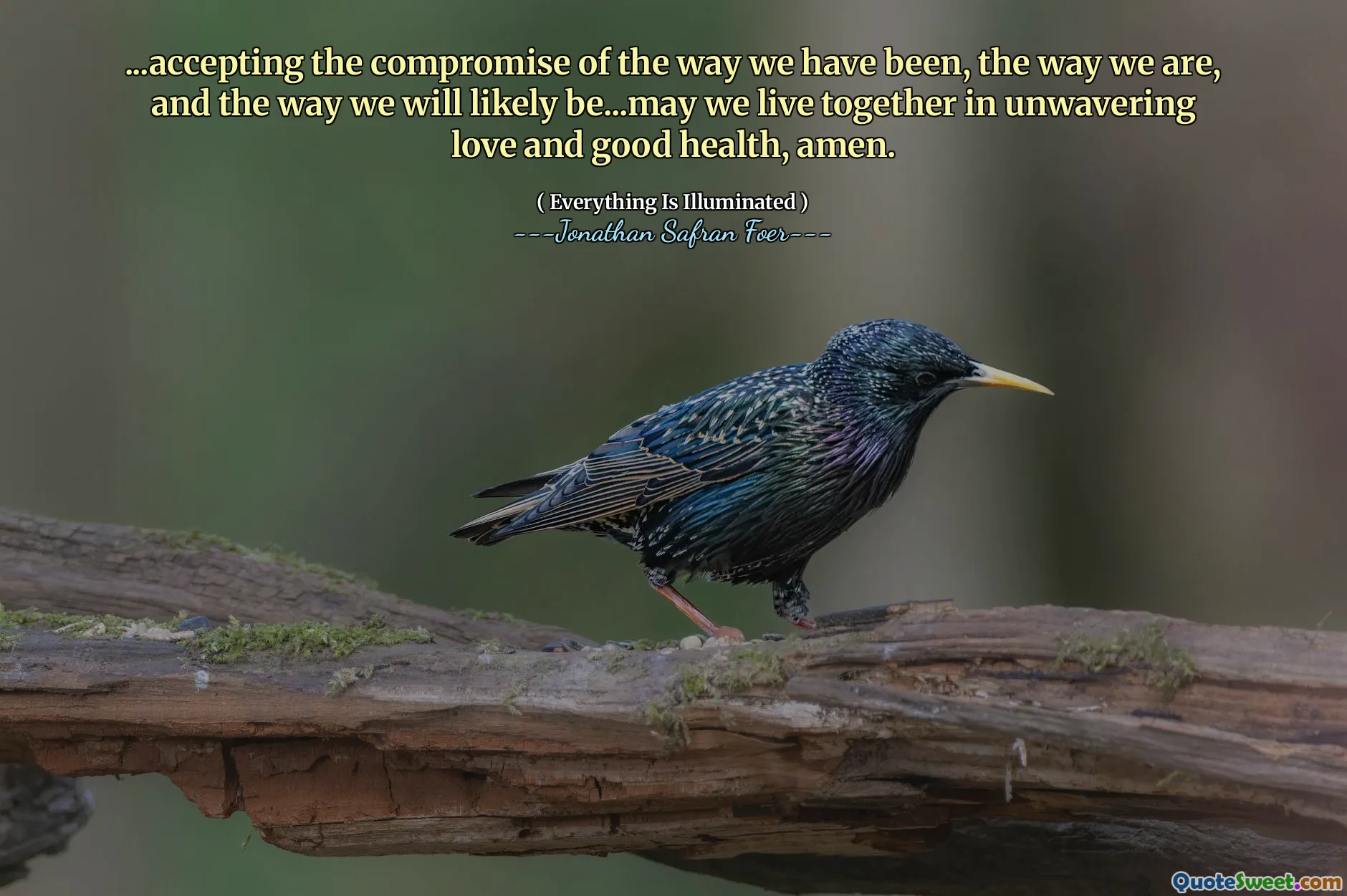 ...accepting the compromise of the way we have been, the way we are, and the way we will likely be...may we live together in unwavering love and good health, amen.