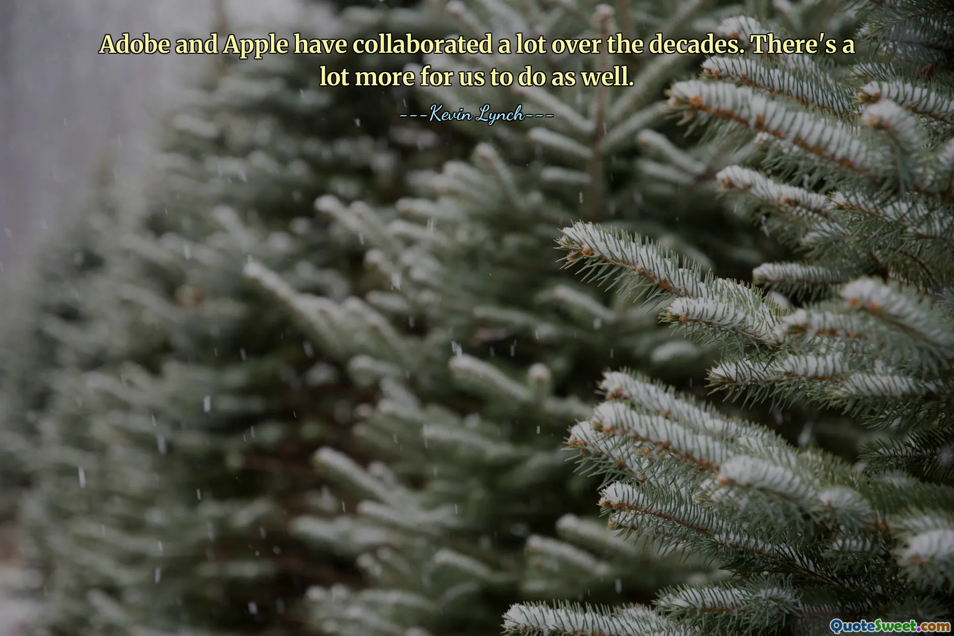 Adobe and Apple have collaborated a lot over the decades. There's a lot more for us to do as well.