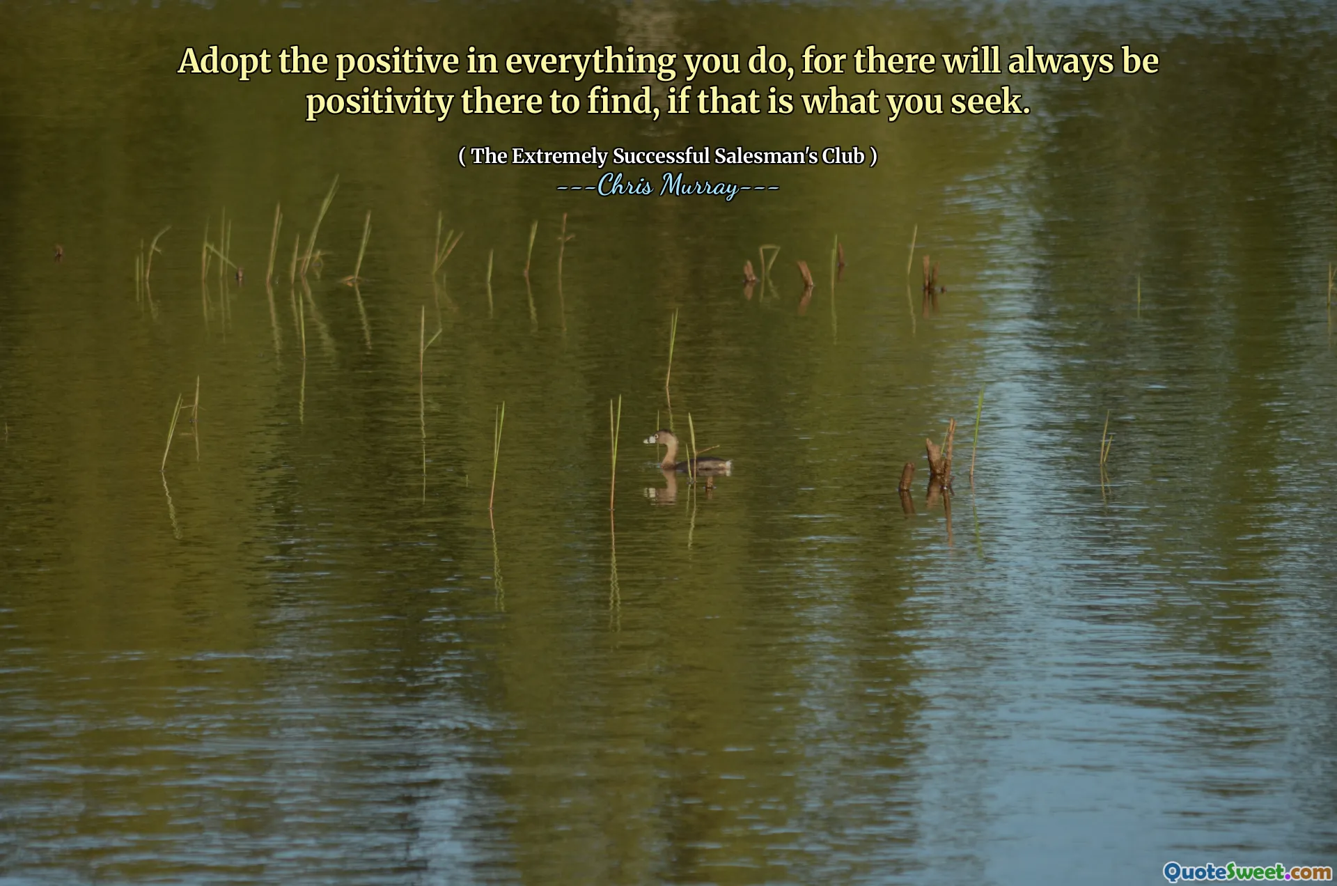 Anta det positiva i allt du gör, för det kommer alltid att finnas positivitet där för att hitta, om det är vad du söker.