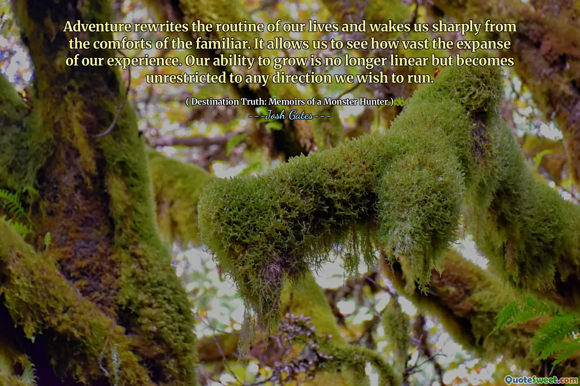 Adventure rewrites the routine of our lives and wakes us sharply from the comforts of the familiar. It allows us to see how vast the expanse of our experience. Our ability to grow is no longer linear but becomes unrestricted to any direction we wish to run.