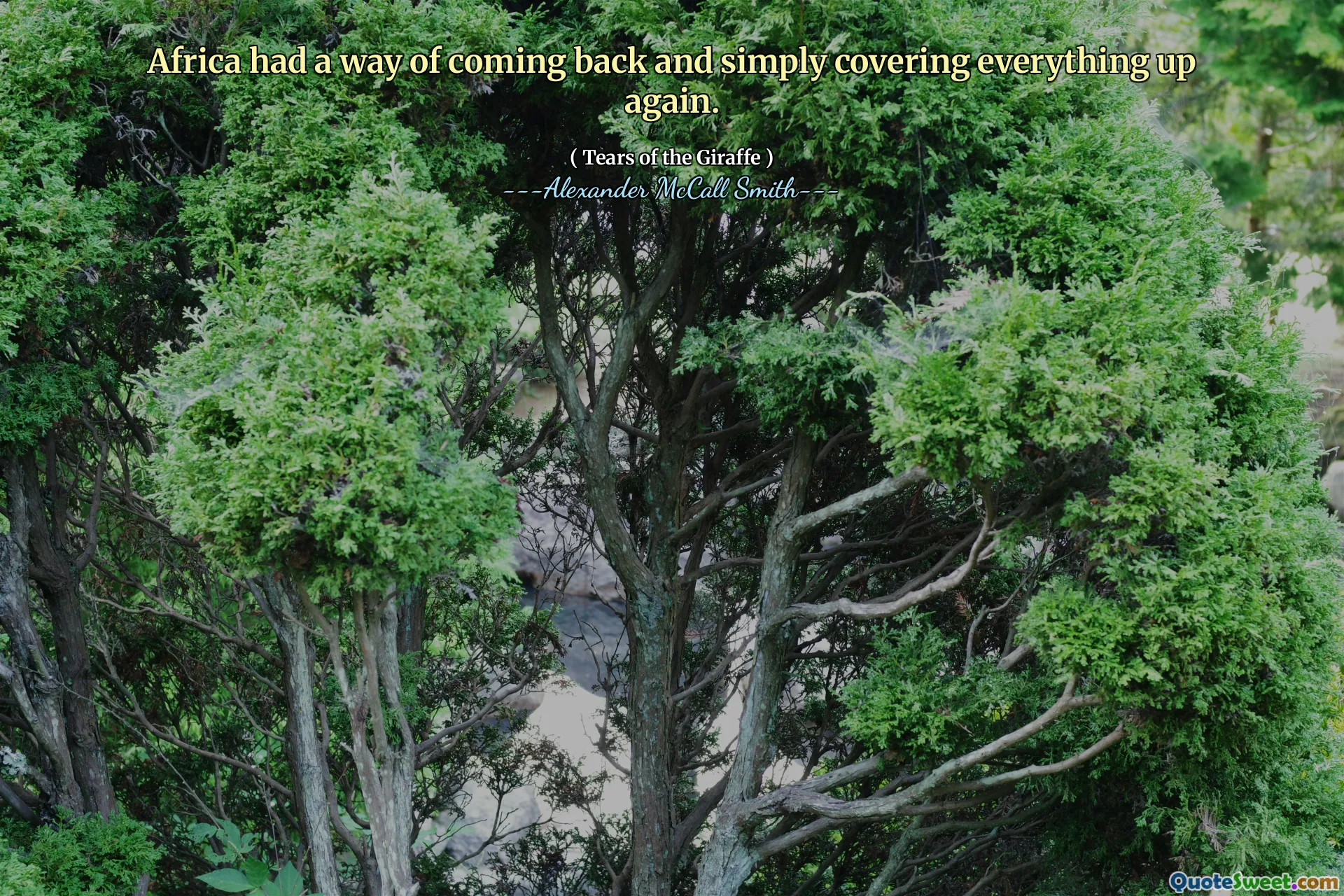 Africa a avut un mod de a se întoarce și de a acoperi din nou totul.