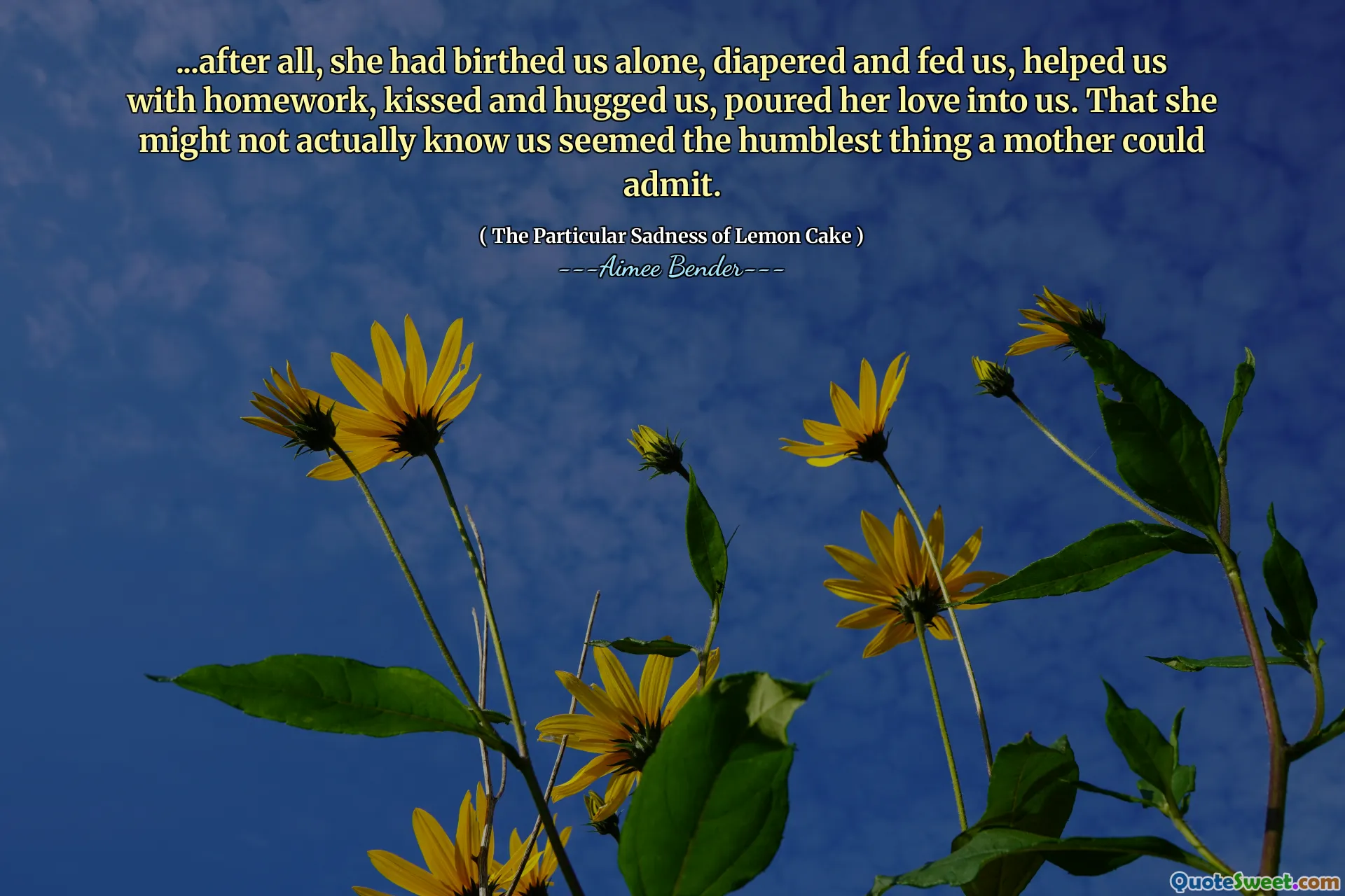 ... Până la urmă, ea ne -a născut singur, ne -a scuterat și ne -a hrănit, ne -a ajutat cu temele, ne -a sărutat și ne -a îmbrățișat, ne -a turnat dragostea în noi. Că s -ar putea să nu ne știe de fapt părea cel mai umil lucru pe care o mamă ar putea să -l admită.