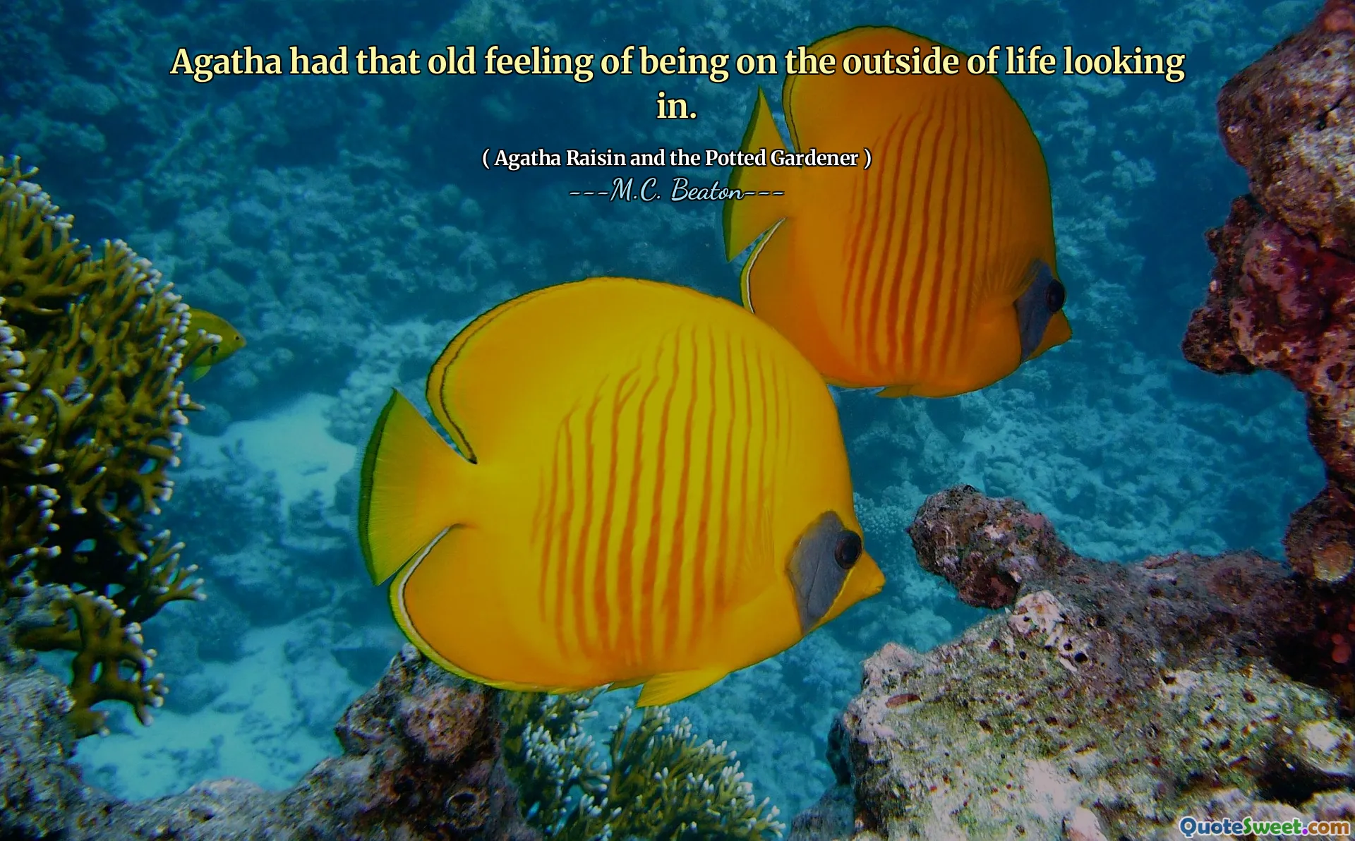 Agatha had that old feeling of being on the outside of life looking in.