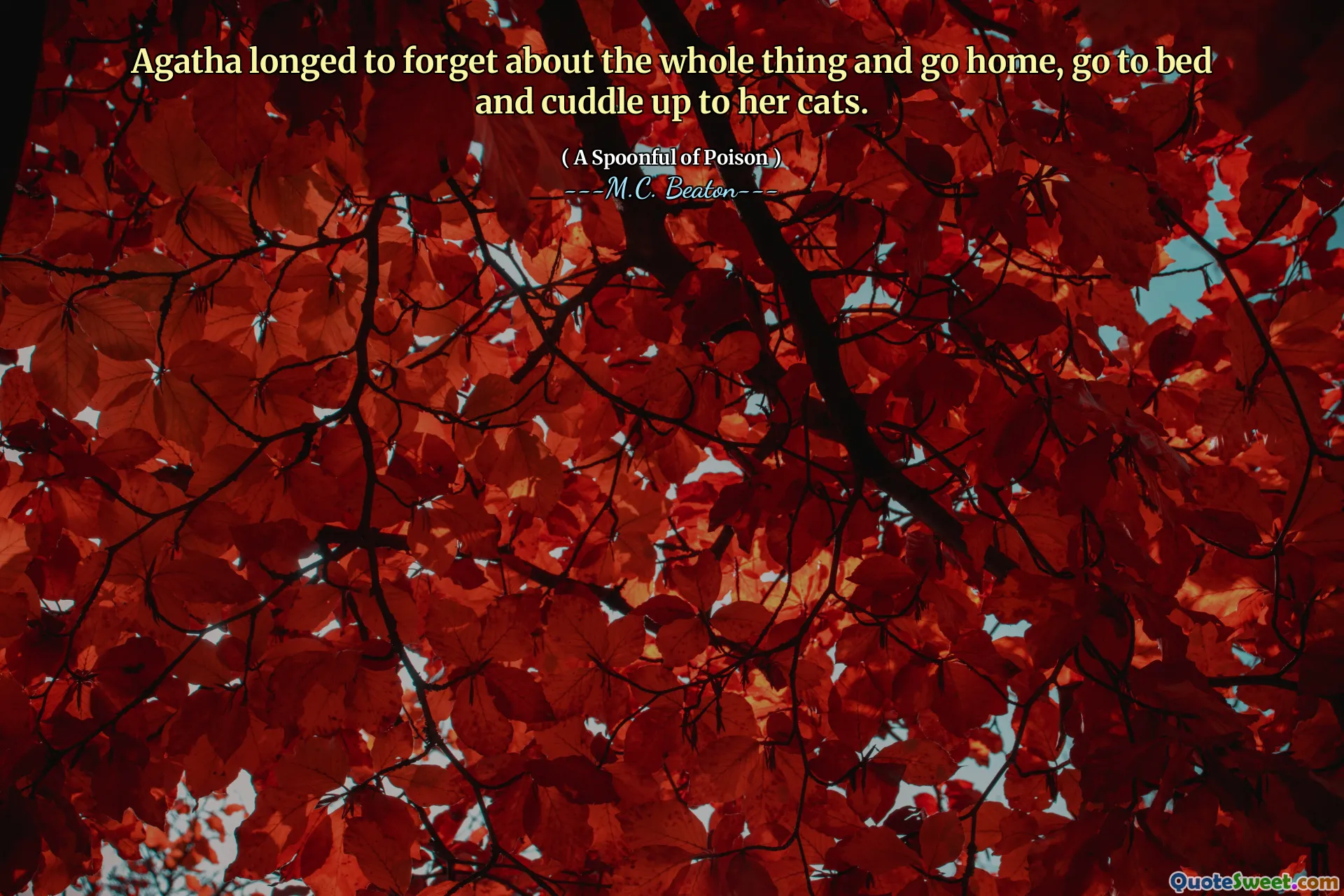 Agatha longed to forget about the whole thing and go home, go to bed and cuddle up to her cats.