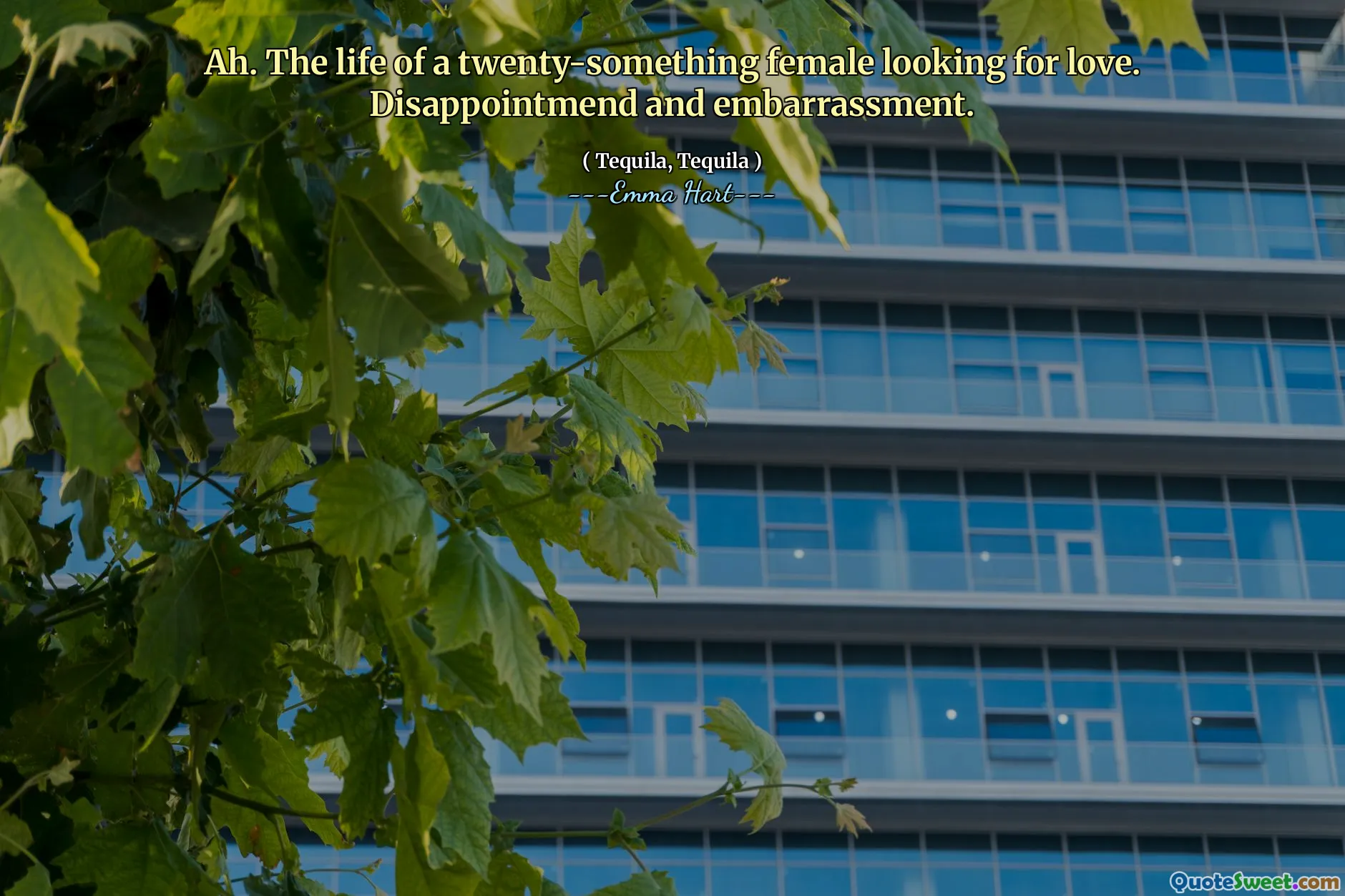 Ah. Livet til en tjue-noe kvinne på jakt etter kjærlighet. Skuffelse og flauhet.