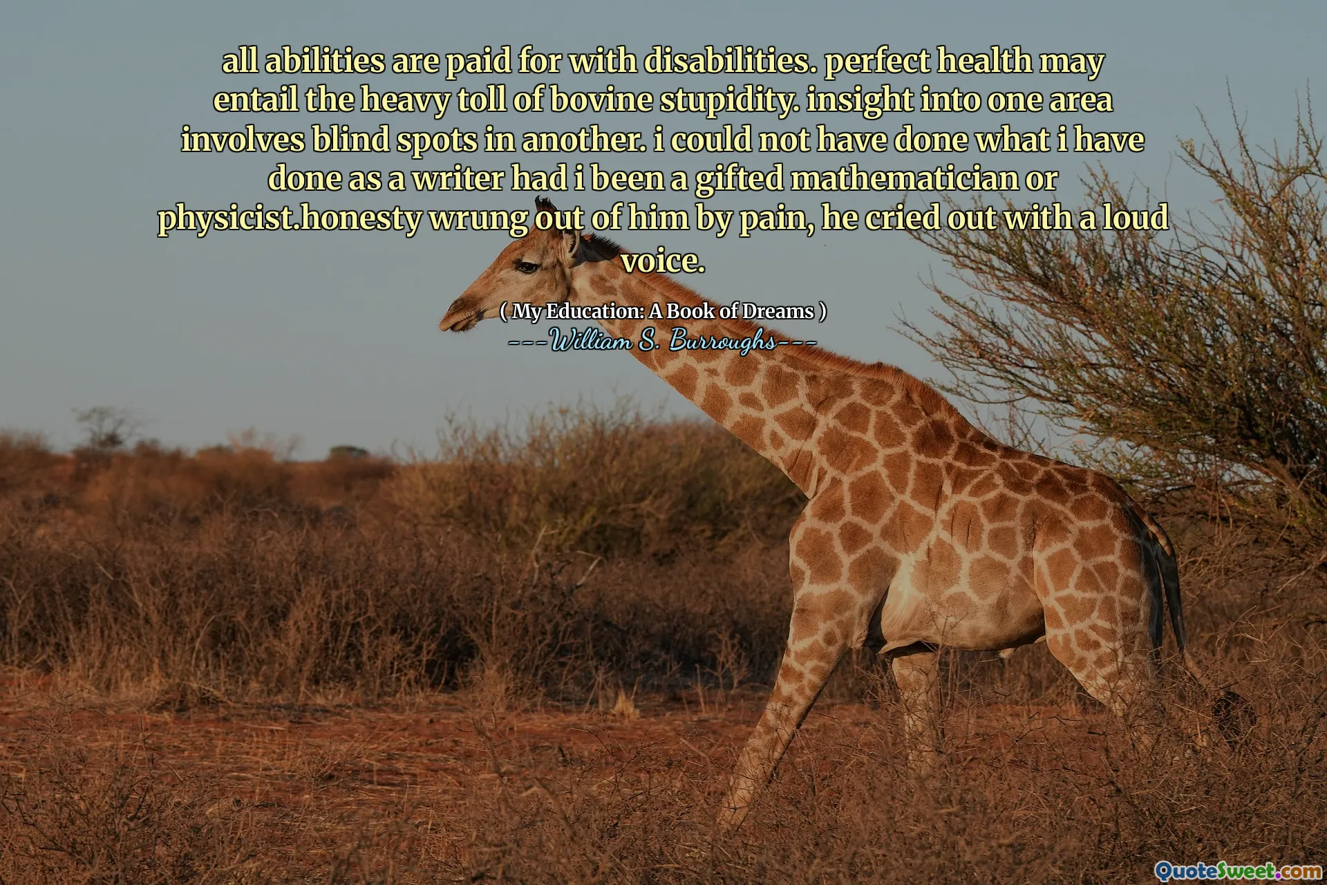 모든 능력은 장애로 지불됩니다. 완벽한 건강에는 소의 어리 석음이 수반 될 수 있습니다. 한 영역에 대한 통찰력은 다른 지역의 사각 지대를 포함합니다. 나는 작가로서 내가 한 일을 선물 한 수학자 나 물리학 자였다.