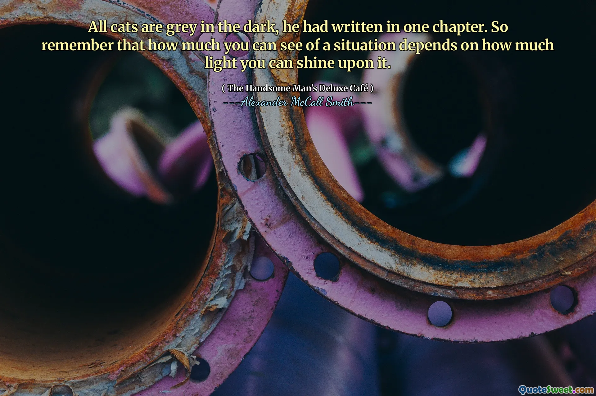 All cats are grey in the dark, he had written in one chapter. So remember that how much you can see of a situation depends on how much light you can shine upon it.