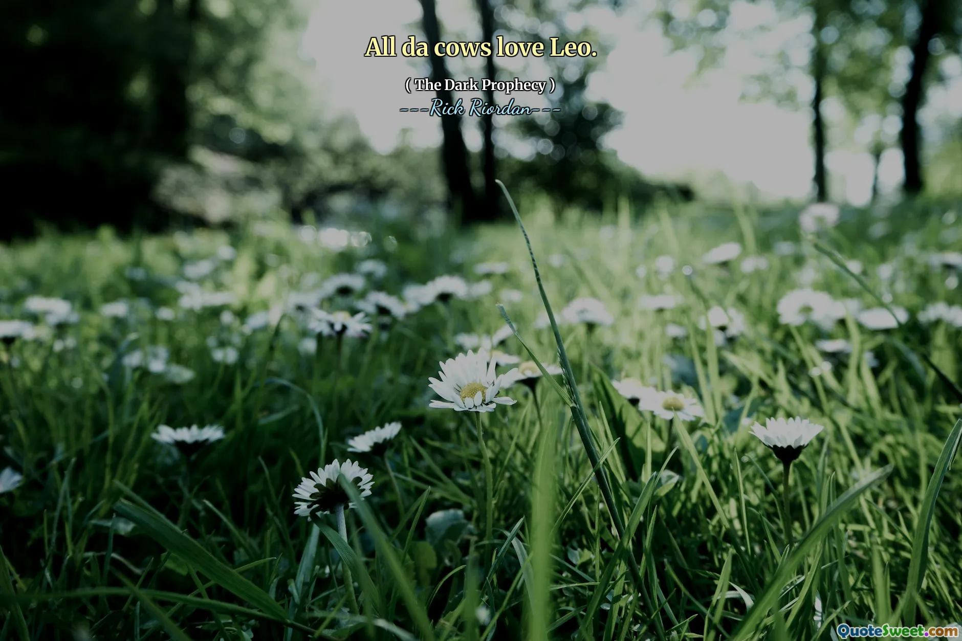 All da cows love Leo.