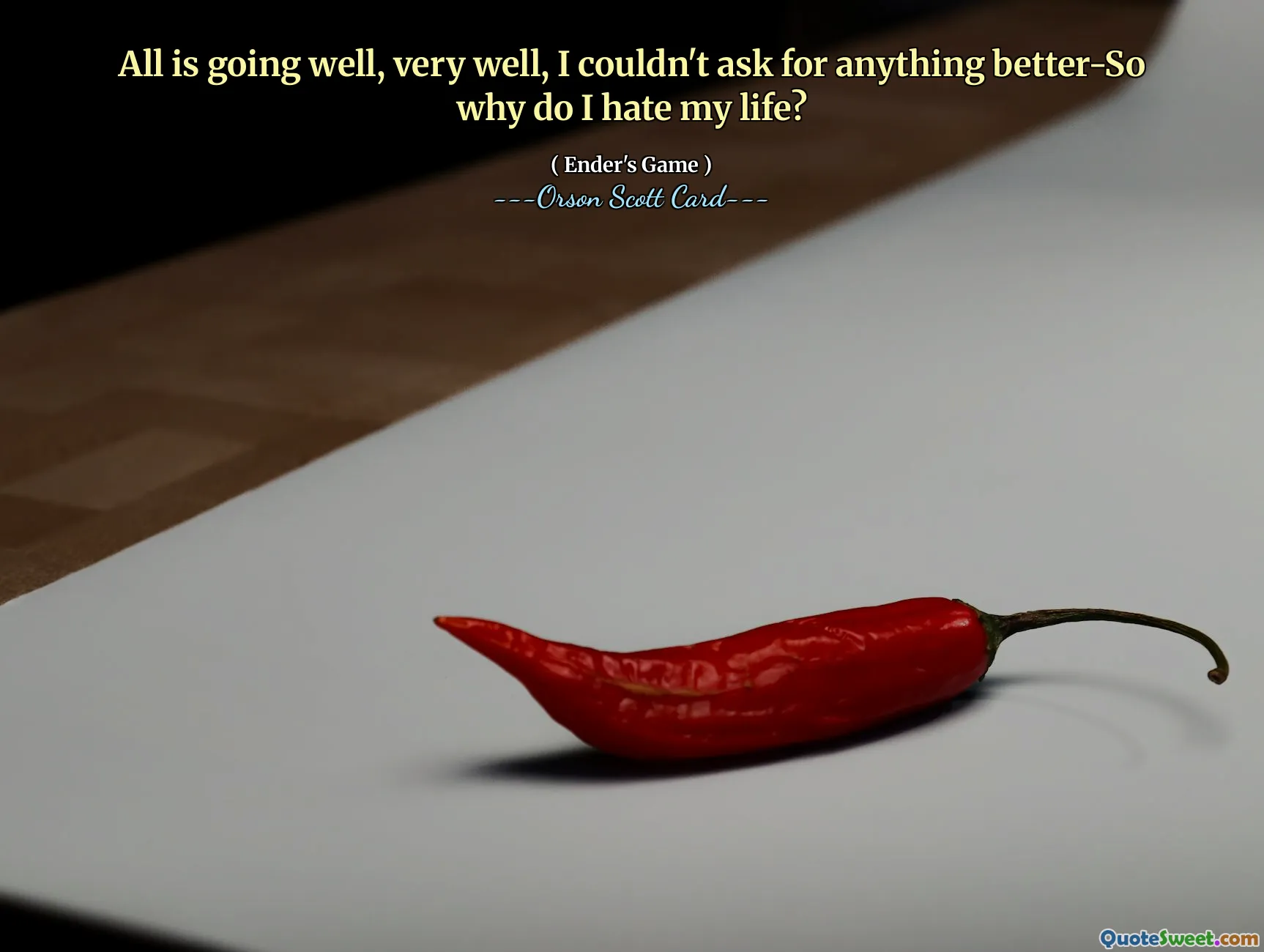 Alles läuft gut, sehr gut, ich könnte mir nichts Besseres wünschen. Warum hasse ich dann mein Leben?