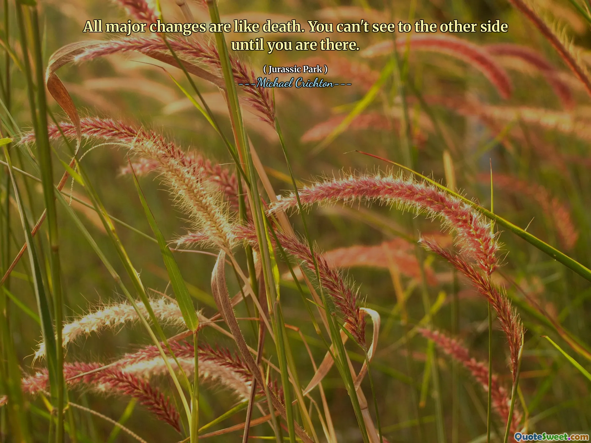 所有重大变化都像死亡。直到到达那里，您才能看到另一侧。