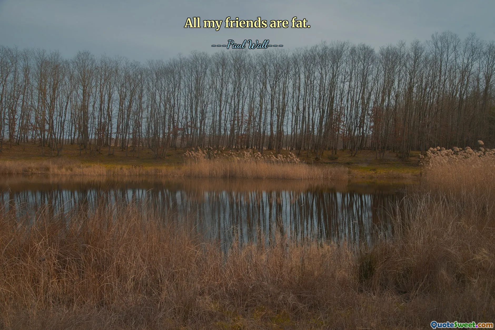 All my friends are fat.