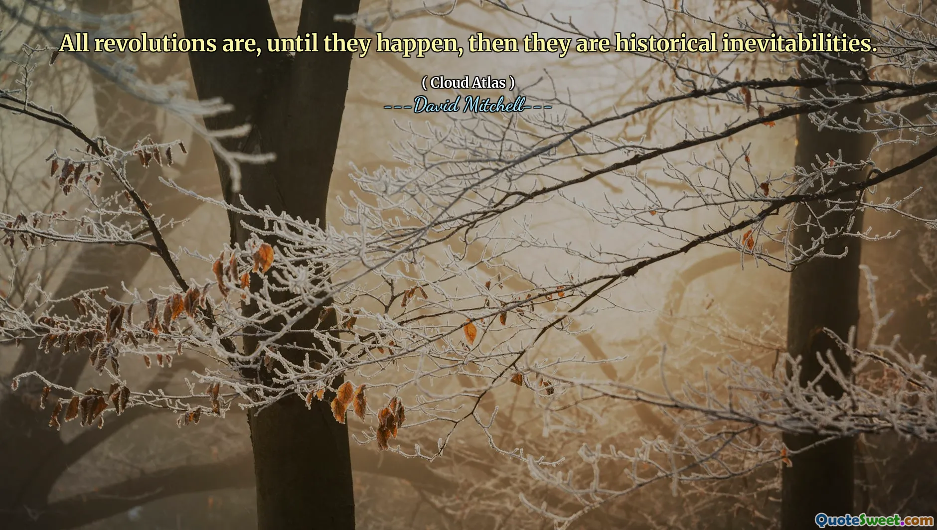 所有革命在发生之前都是历史的必然。