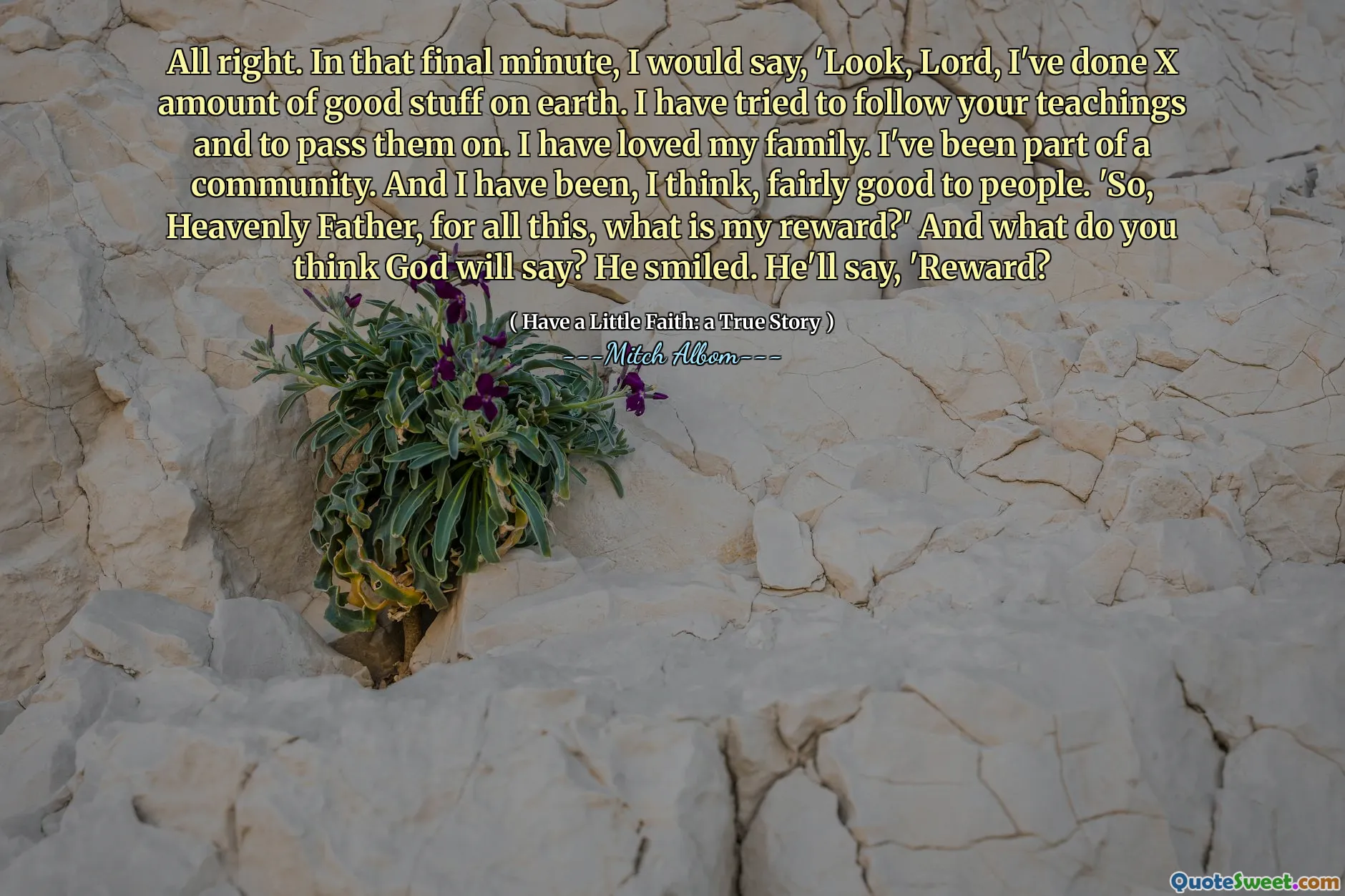 In Ordnung. In dieser letzten Minute würde ich sagen: „Schau, Herr, ich habe x viele gute Sachen auf Erden gemacht. Ich habe versucht, Ihren Lehren zu folgen und sie weiterzugeben. Ich habe meine Familie geliebt. Ich war Teil einer Gemeinschaft. Und ich war, denke ich, ziemlich gut zu Menschen. "Also, himmlischer Vater, was ist meine Belohnung?" Und was glaubst du, wird Gott sagen? Er lächelte. Er wird sagen: 'Belohnung?