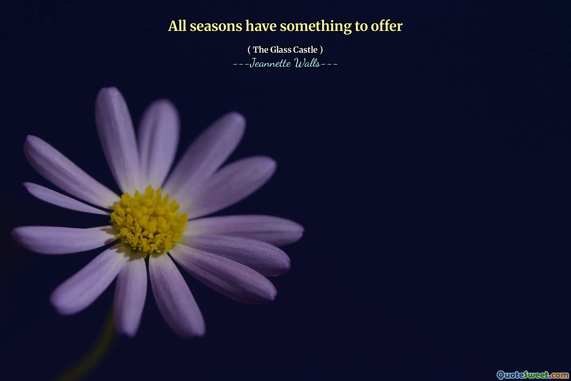 All seasons have something to offer