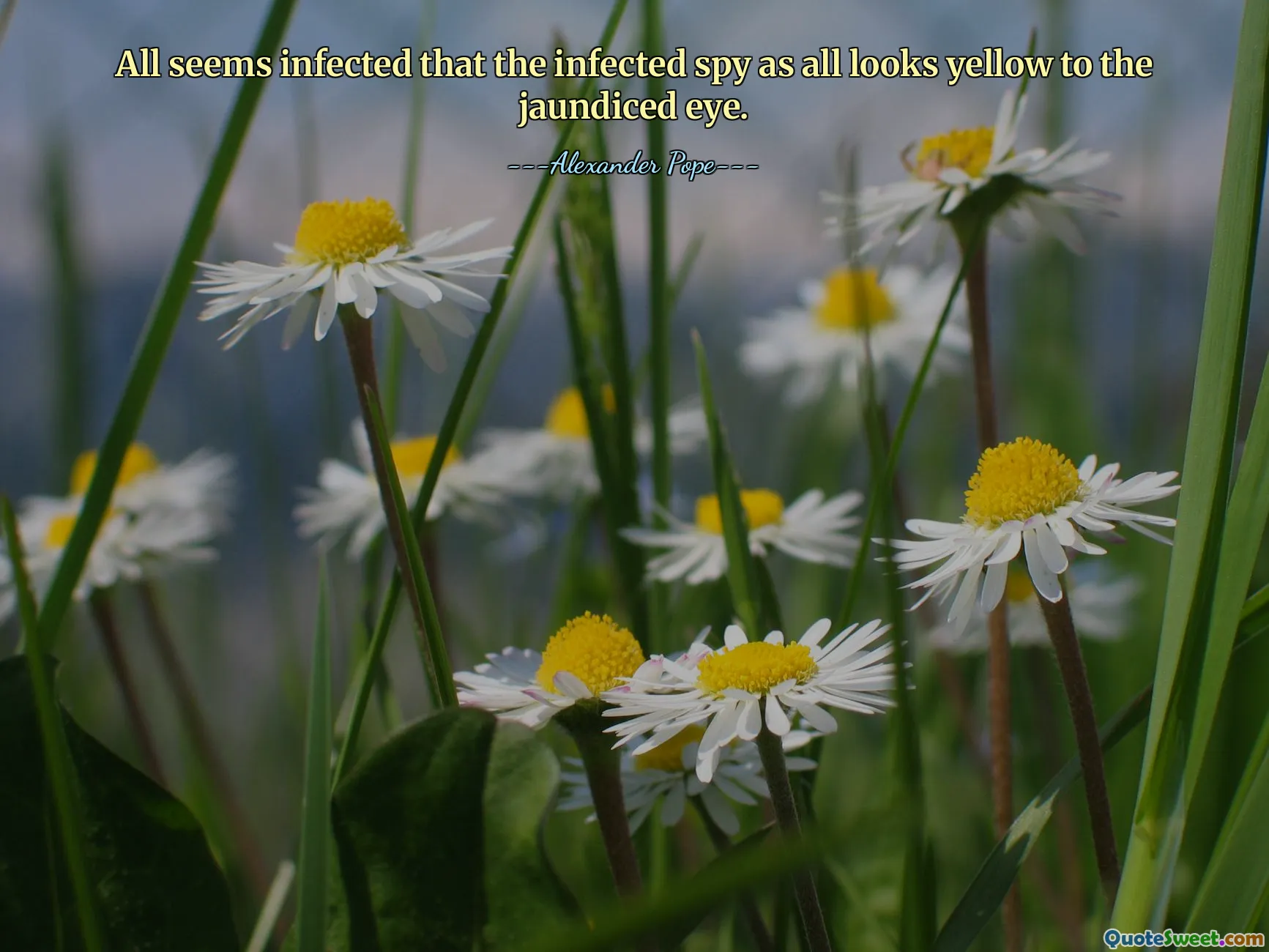 All seems infected that the infected spy as all looks yellow to the jaundiced eye.