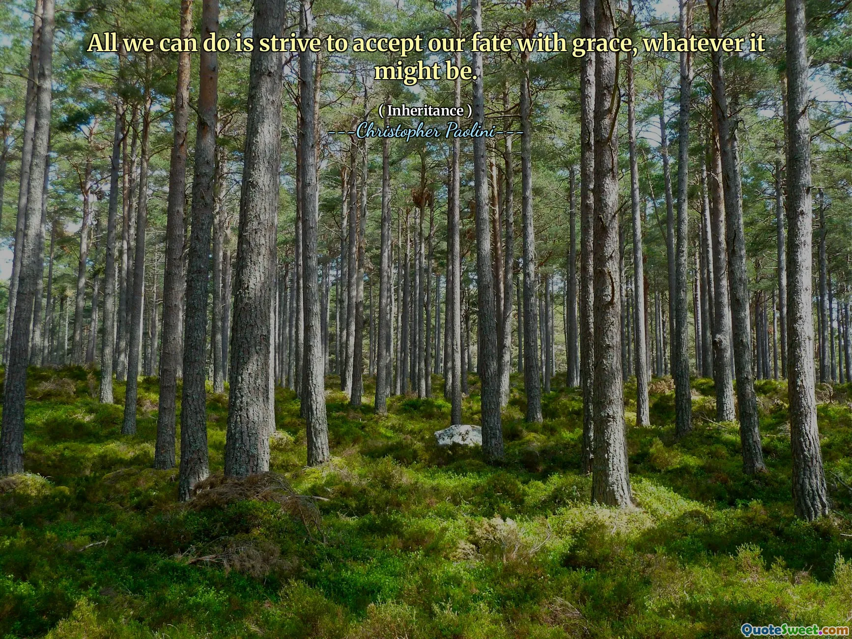 All we can do is strive to accept our fate with grace, whatever it might be.