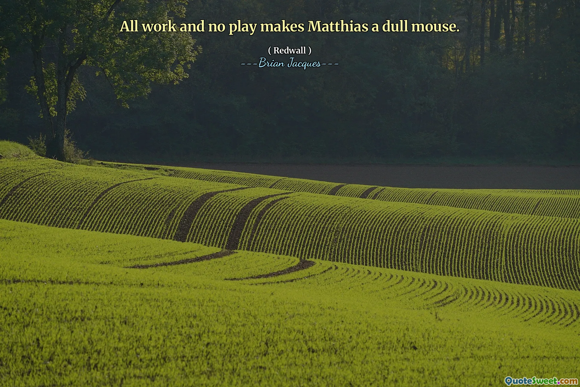 Chỉ làm việc mà không chơi đùa khiến Matthias trở thành một con chuột đần độn.