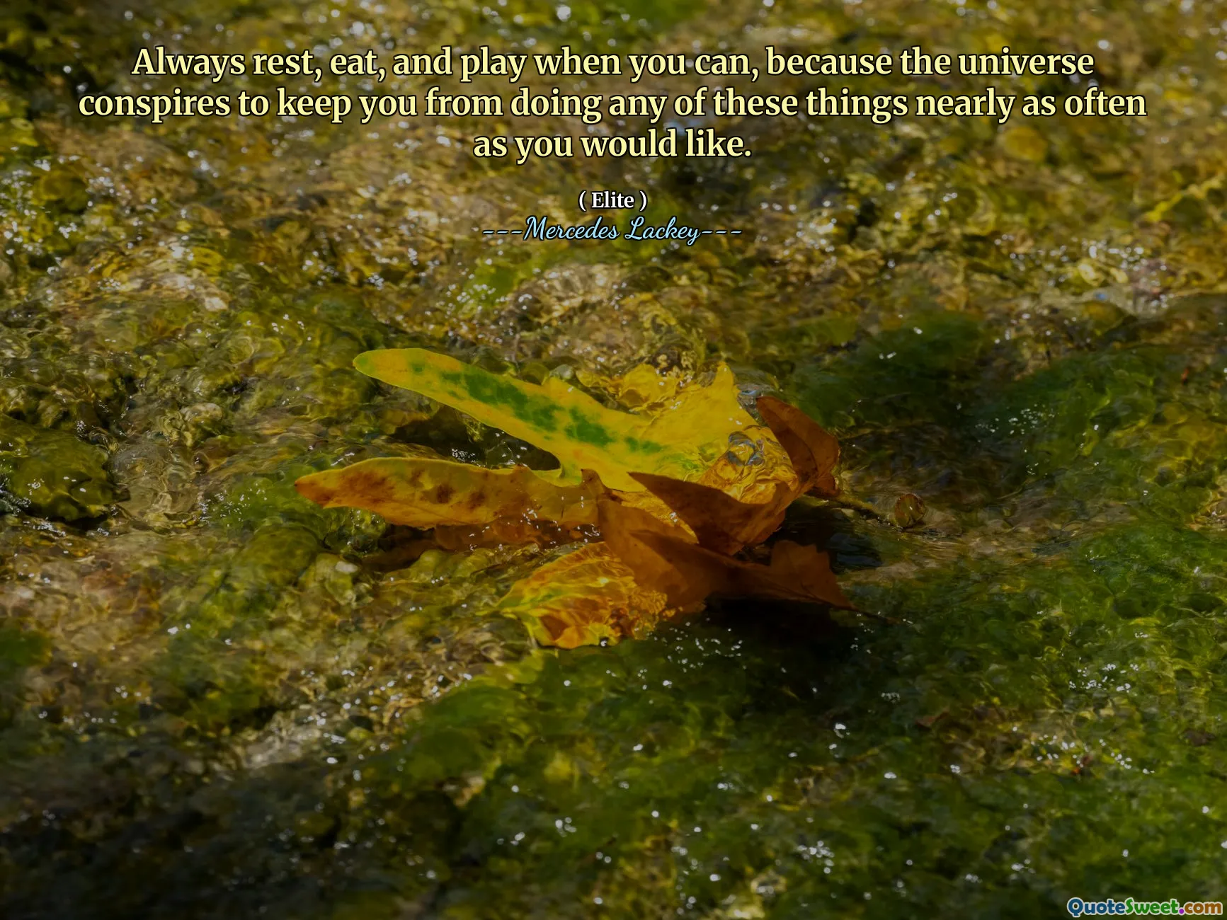 Always rest, eat, and play when you can, because the universe conspires to keep you from doing any of these things nearly as often as you would like.