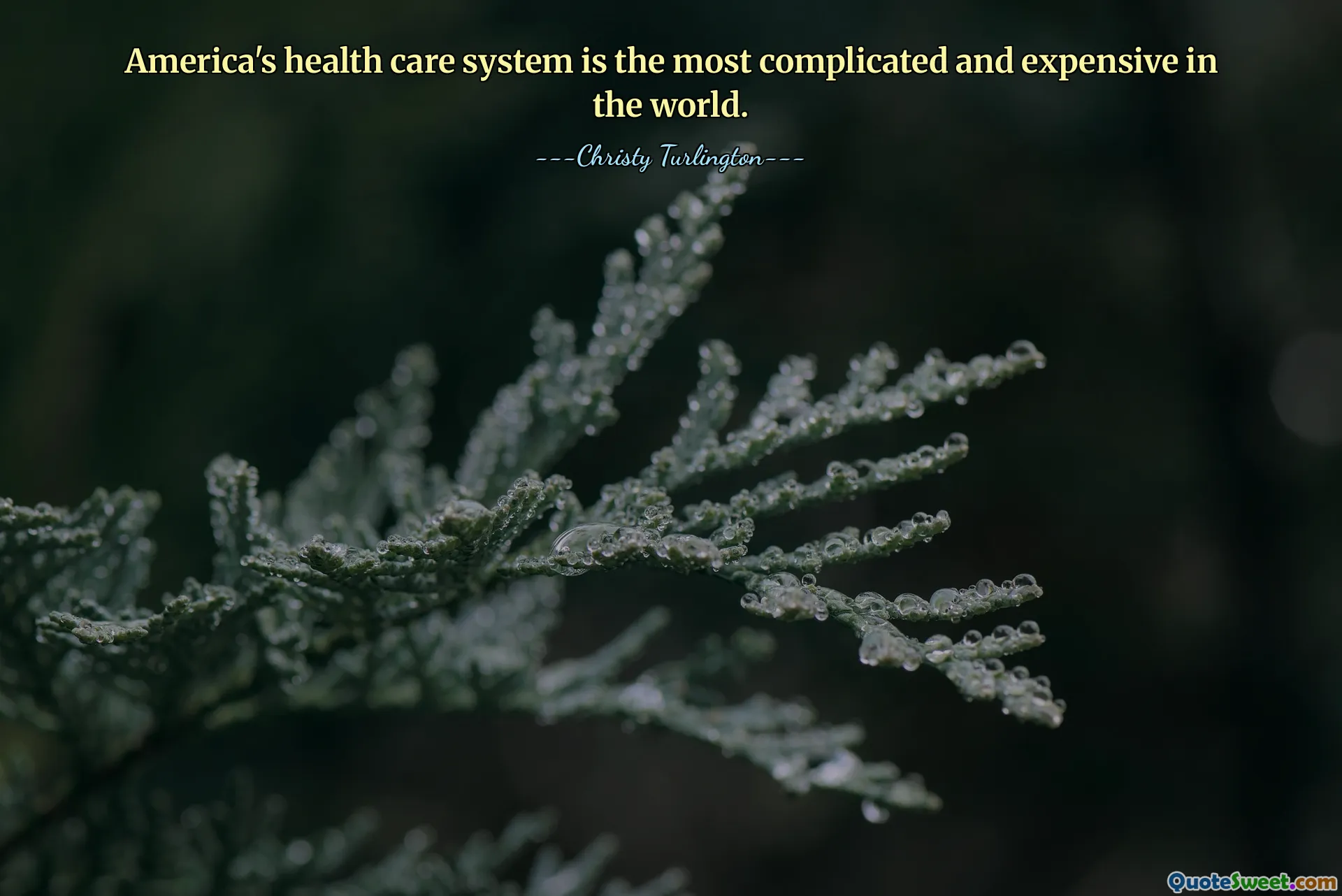 يعد نظام الرعاية الصحية في أمريكا هو الأكثر تعقيدًا والأكثر تكلفة في العالم.