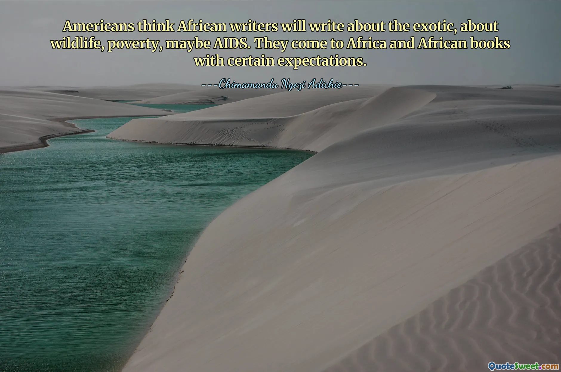Os americanos pensam que os escritores africanos escreverão sobre o exótico, sobre a vida selvagem, sobre a pobreza, talvez sobre a SIDA. Eles vêm para a África e para os livros africanos com certas expectativas.