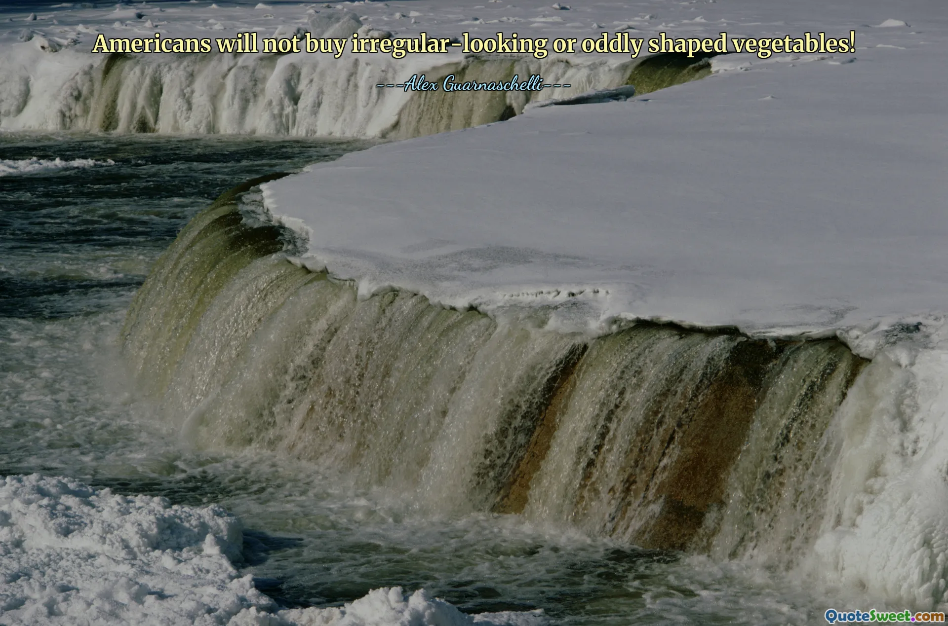 Americans will not buy irregular-looking or oddly shaped vegetables!