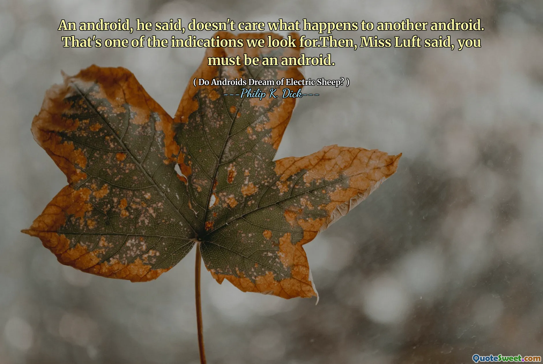 An android, he said, doesn't care what happens to another android. That's one of the indications we look for.Then, Miss Luft said, you must be an android.