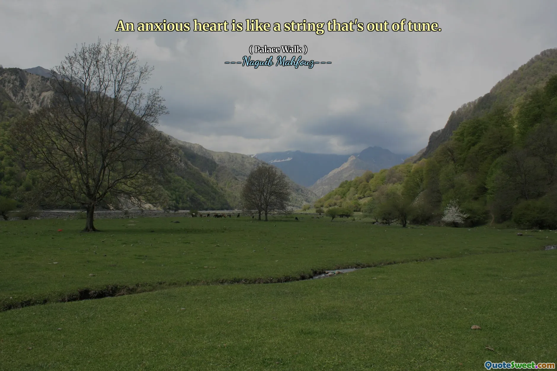 Ein ängstliches Herz ist wie eine Schnur, die nicht stimmt.