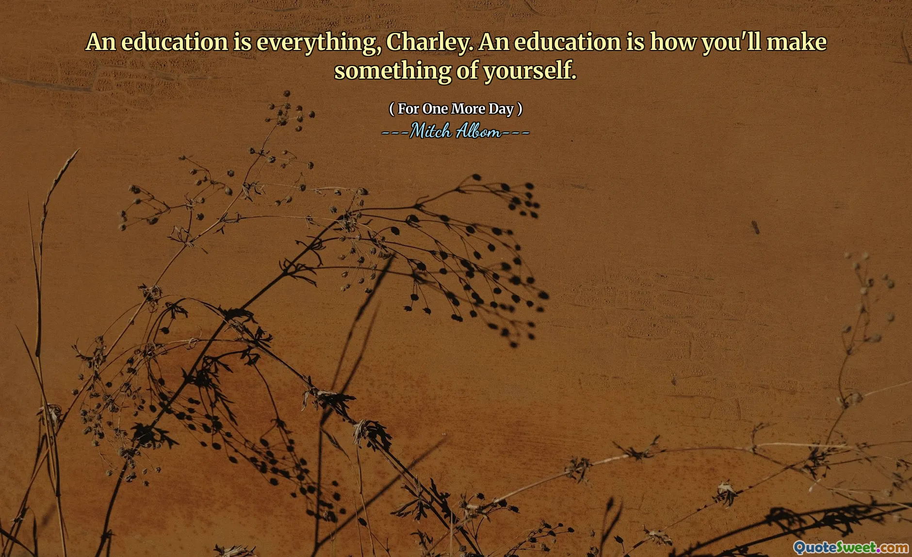 教育就是一切，查理。教育是您自己做的事情。