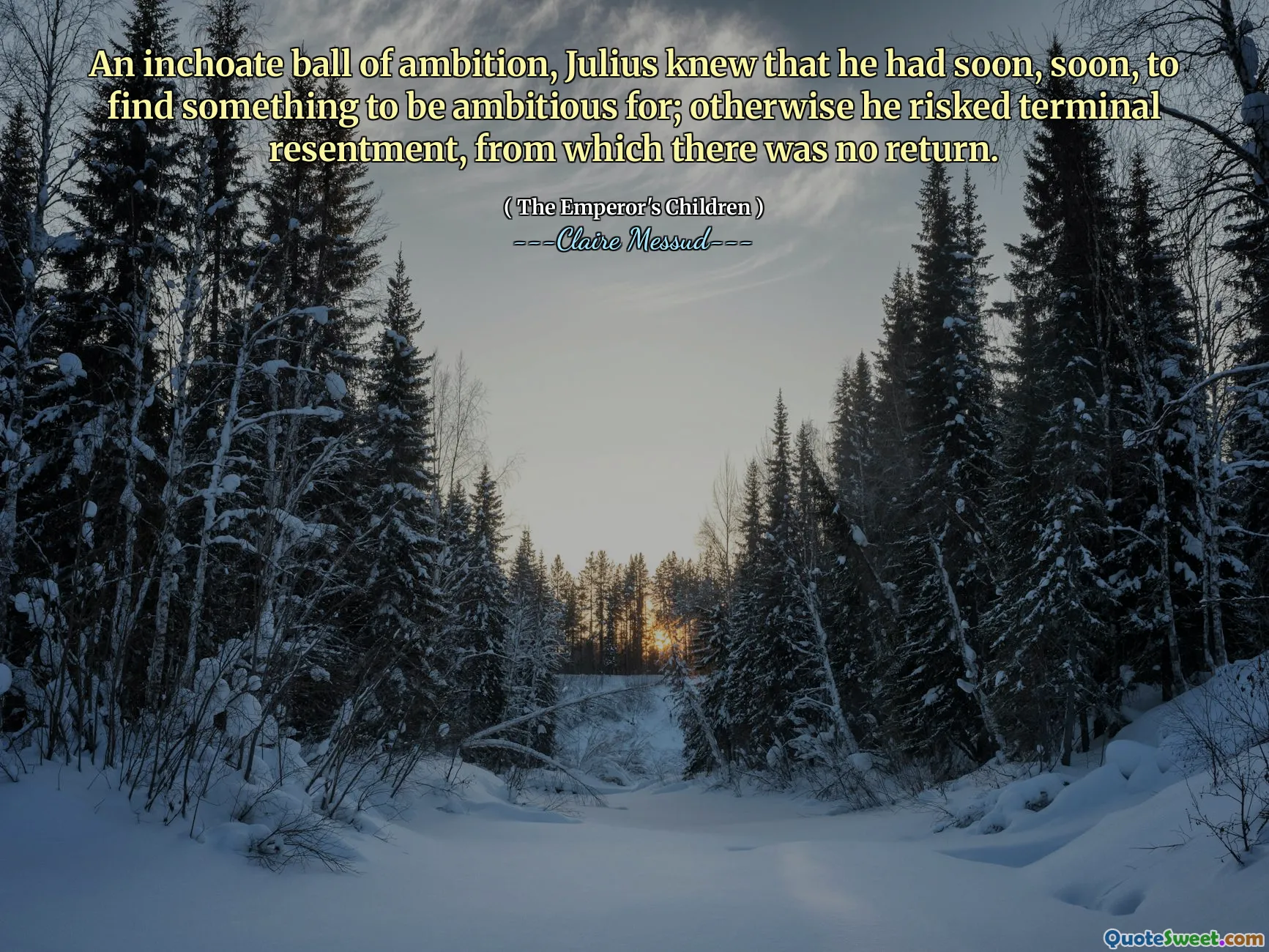 An inchoate ball of ambition, Julius knew that he had soon, soon, to find something to be ambitious for; otherwise he risked terminal resentment, from which there was no return.