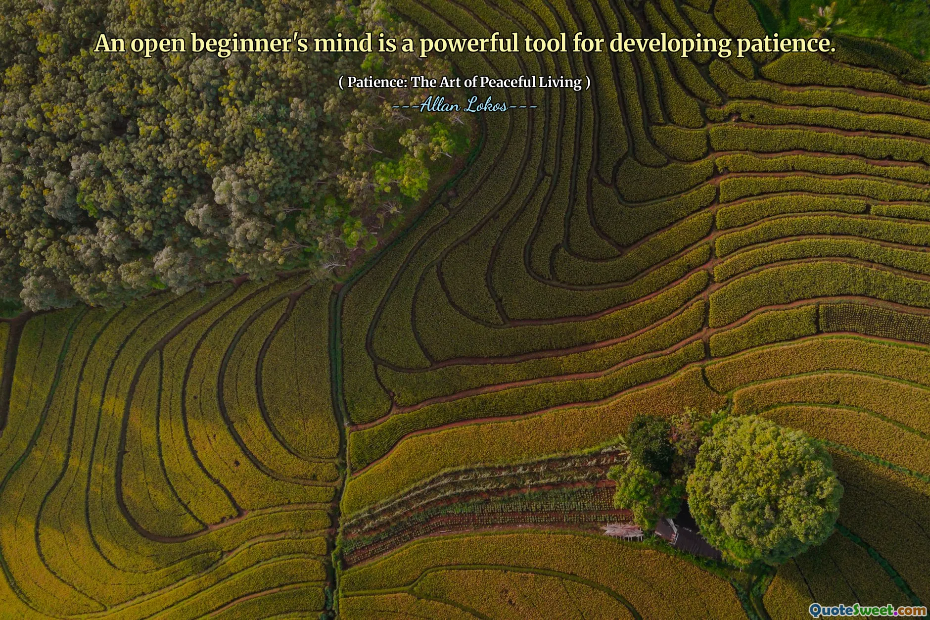 An open beginner's mind is a powerful tool for developing patience.