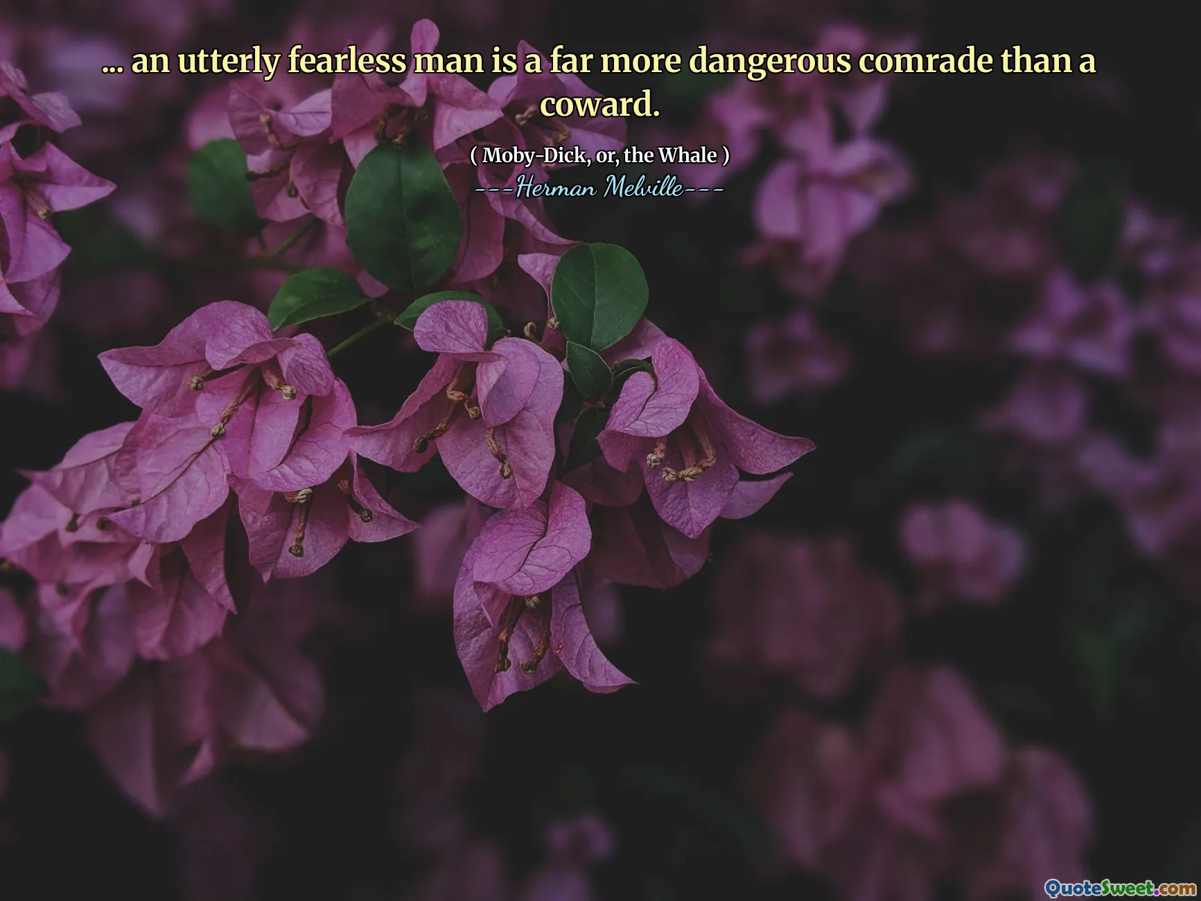 ... Um homem totalmente destemido é um camarada muito mais perigoso do que um covarde.