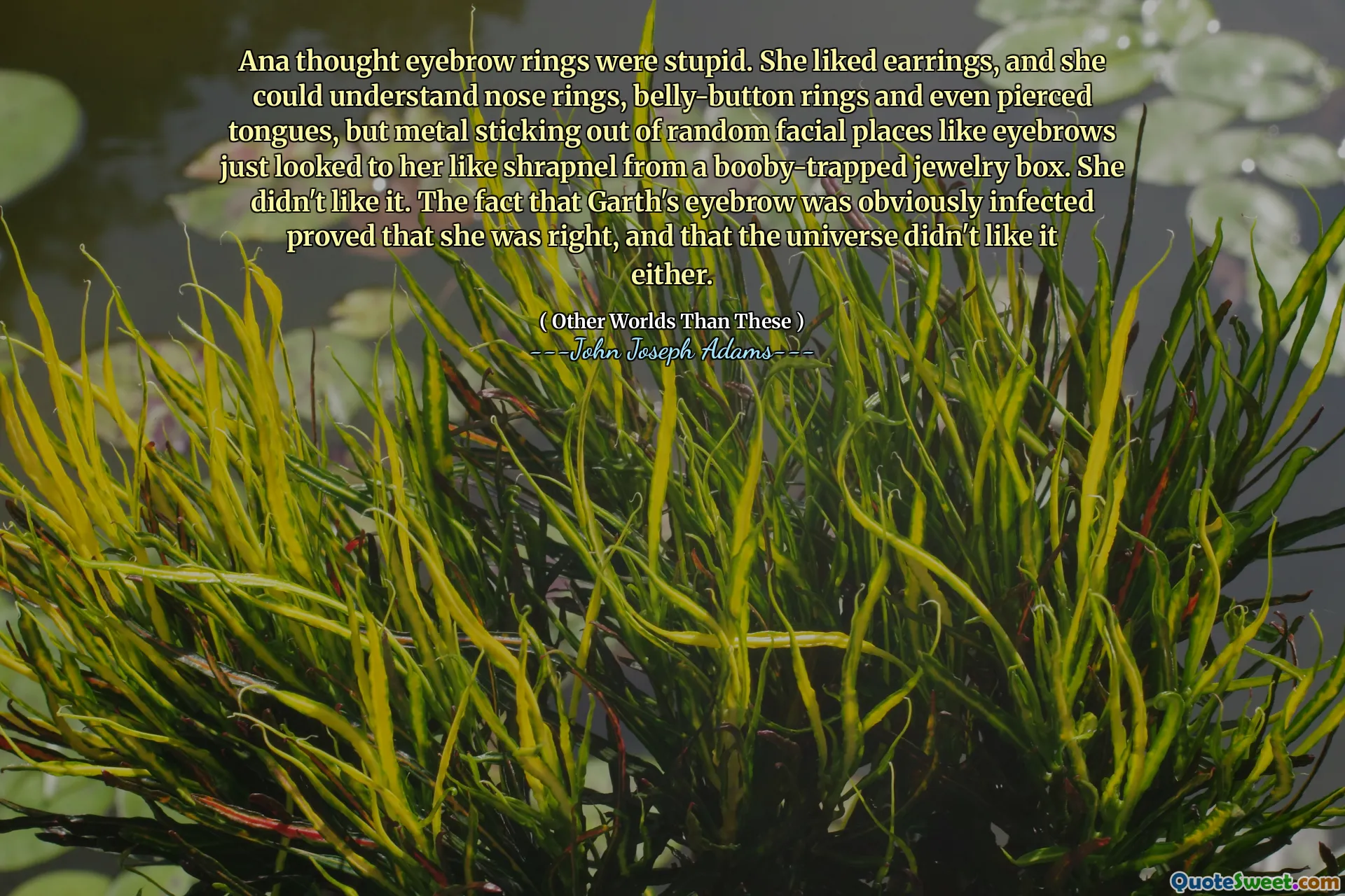 Ana pensou que os anéis de sobrancelha eram estúpidos. Ela gostava de brincos e podia entender os anéis do nariz, anéis de botão de barriga e até línguas perfuradas, mas o metal saindo de lugares faciais aleatórios, como sobrancelhas, apenas olhava para ela como estilhaços de uma caixa de jóias com captura de peste. Ela não gostou. O fato de a sobrancelha de Garth ter sido obviamente infectada provou que ela estava certa e que o universo também não gostou.