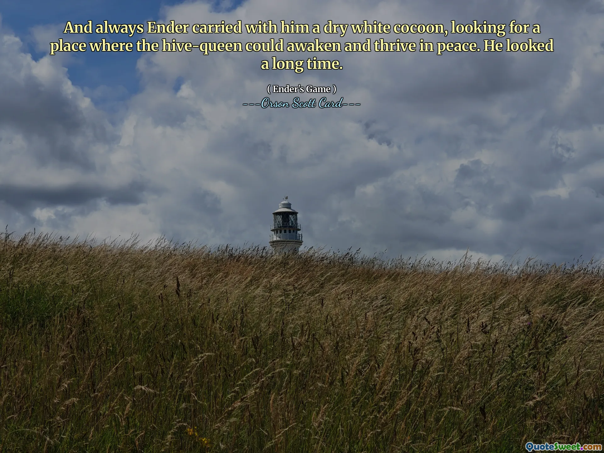 安德总是随身带着一个干燥的白色茧，寻找一个能让蜂后苏醒并平静地繁衍生息的地方。他看了很久。