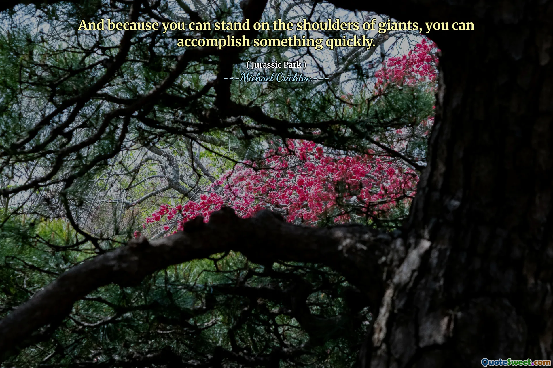 Et parce que vous pouvez vous tenir sur les épaules des géants, vous pouvez accomplir quelque chose rapidement.