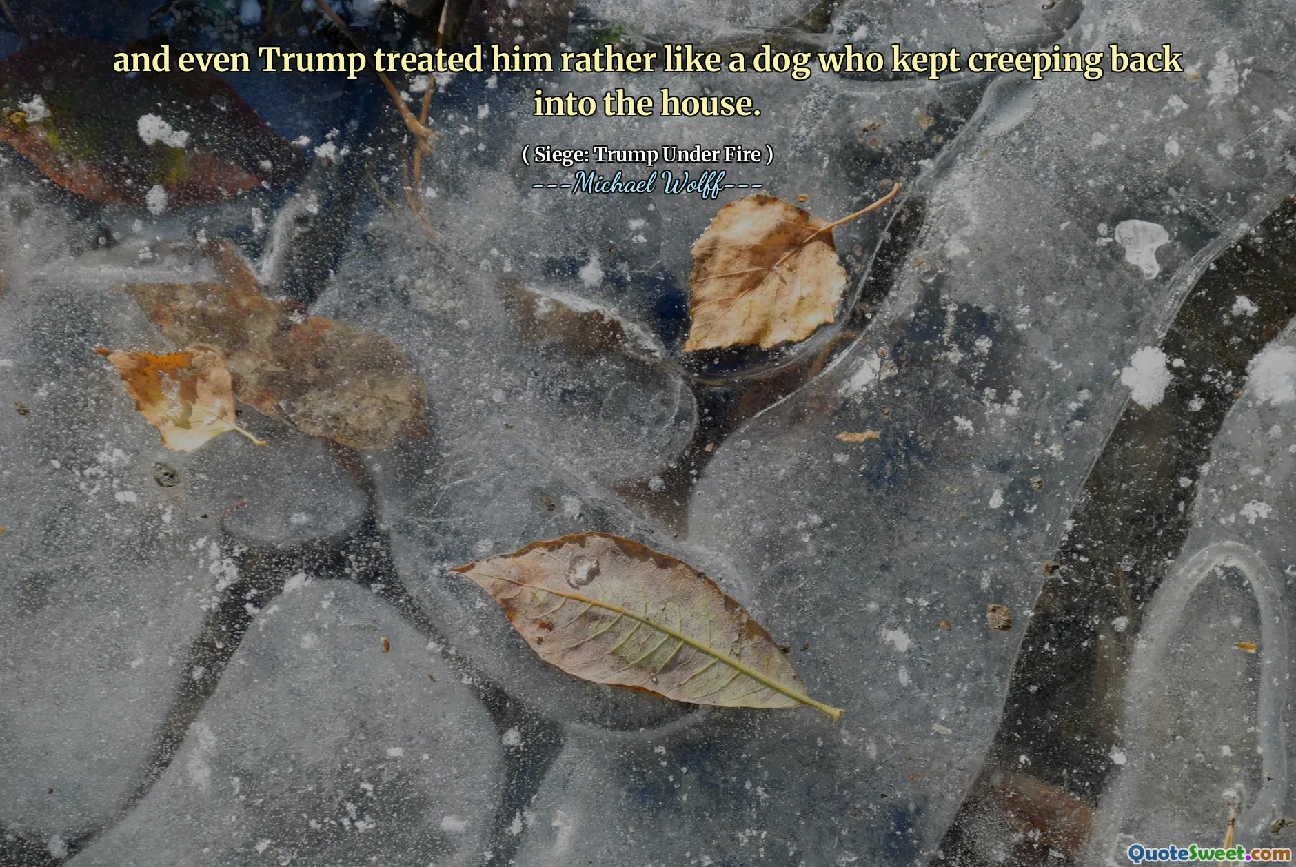 and even Trump treated him rather like a dog who kept creeping back into the house.