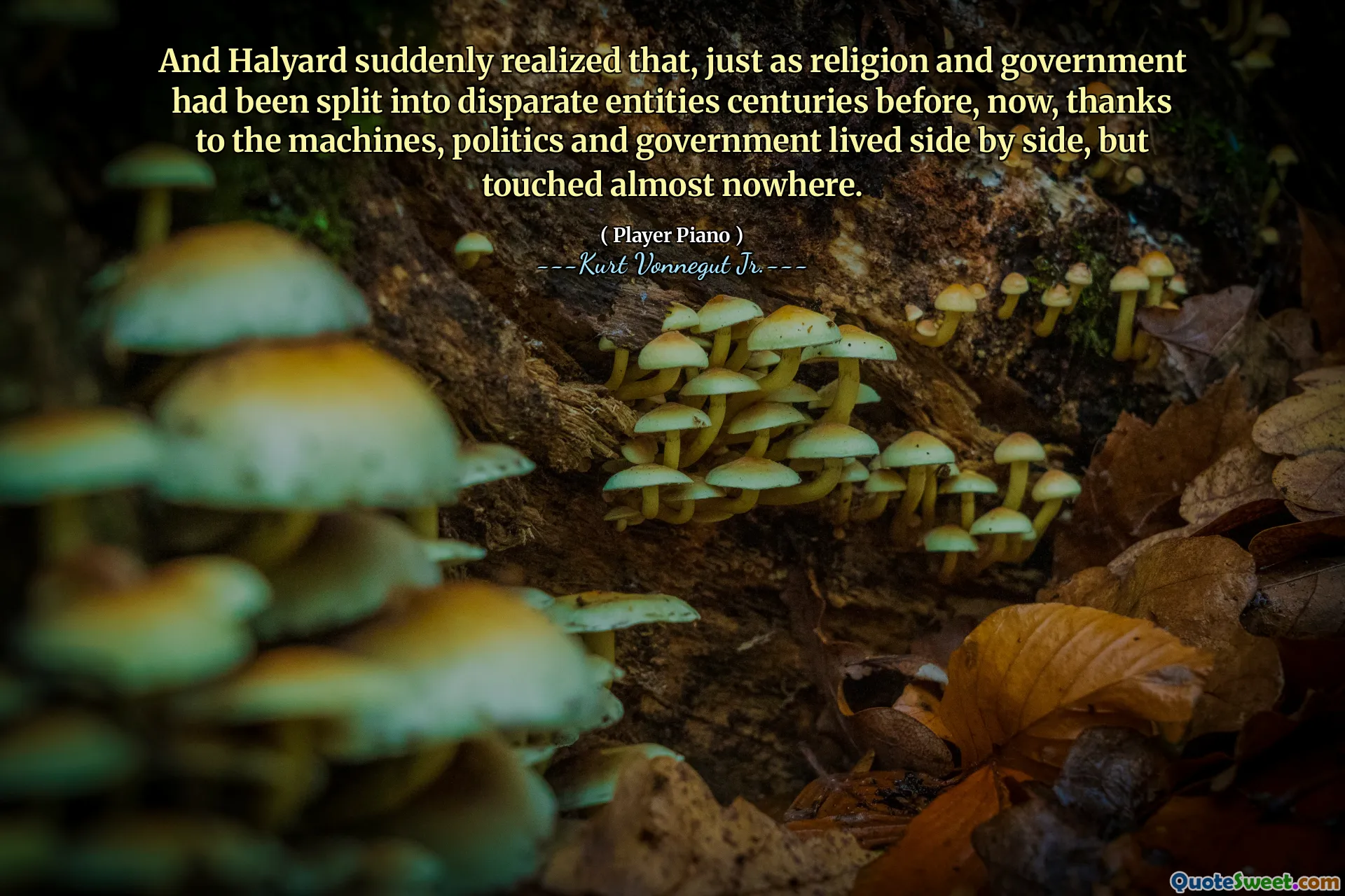 Och Halyard insåg plötsligt att, precis som religion och regering hade delats upp i olika enheter århundraden tidigare, nu, tack vare maskinerna, politiken och regeringen bodde sida vid sida, men rörde nästan ingenstans.