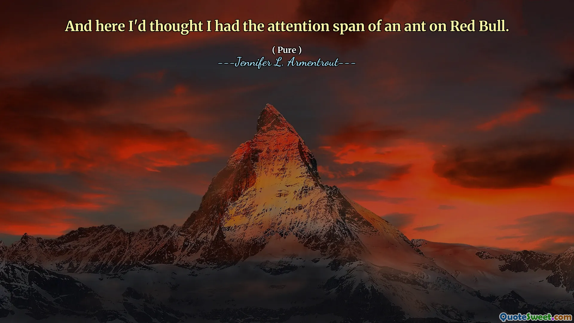 And here I'd thought I had the attention span of an ant on Red Bull.