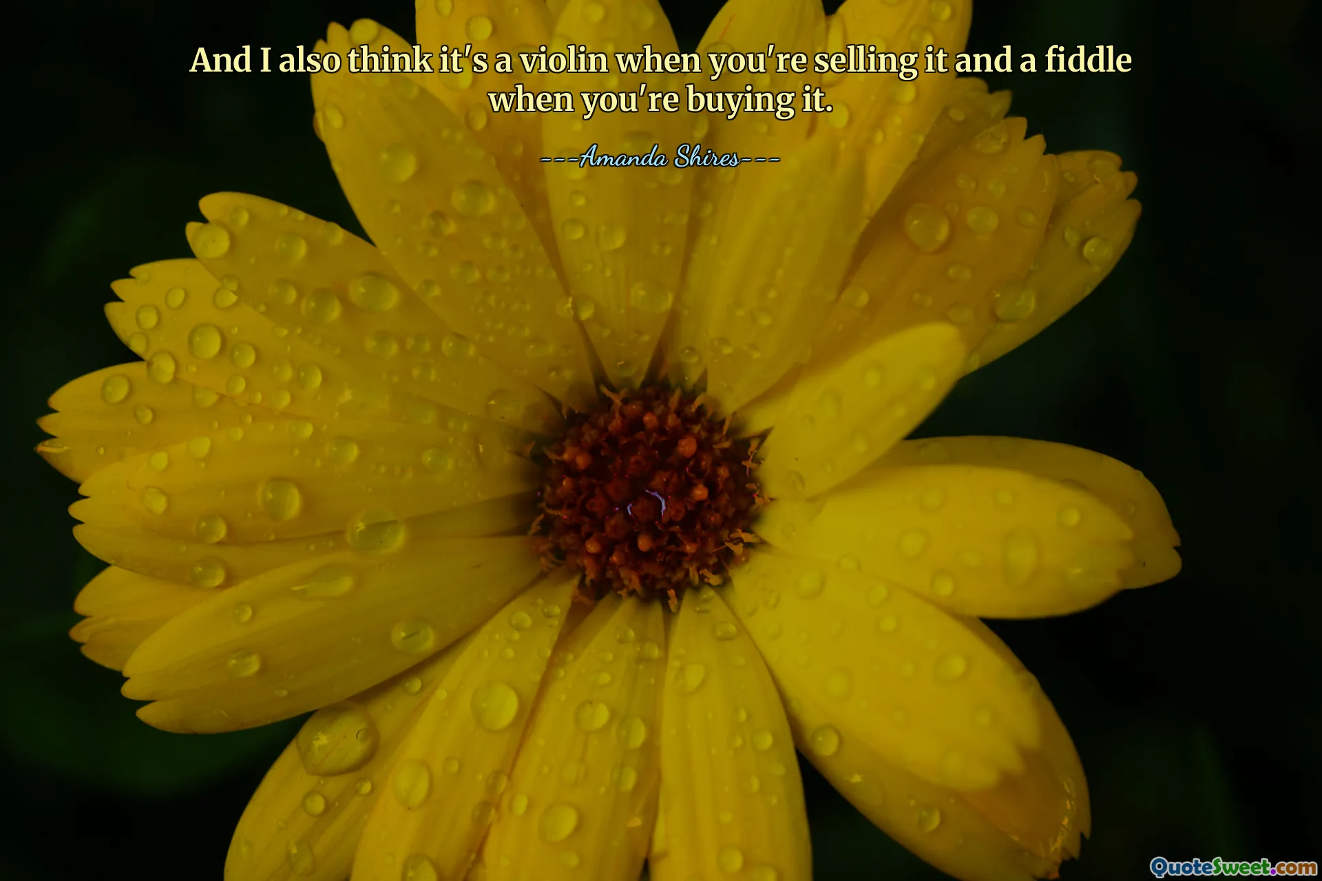 And I also think it's a violin when you're selling it and a fiddle when you're buying it.