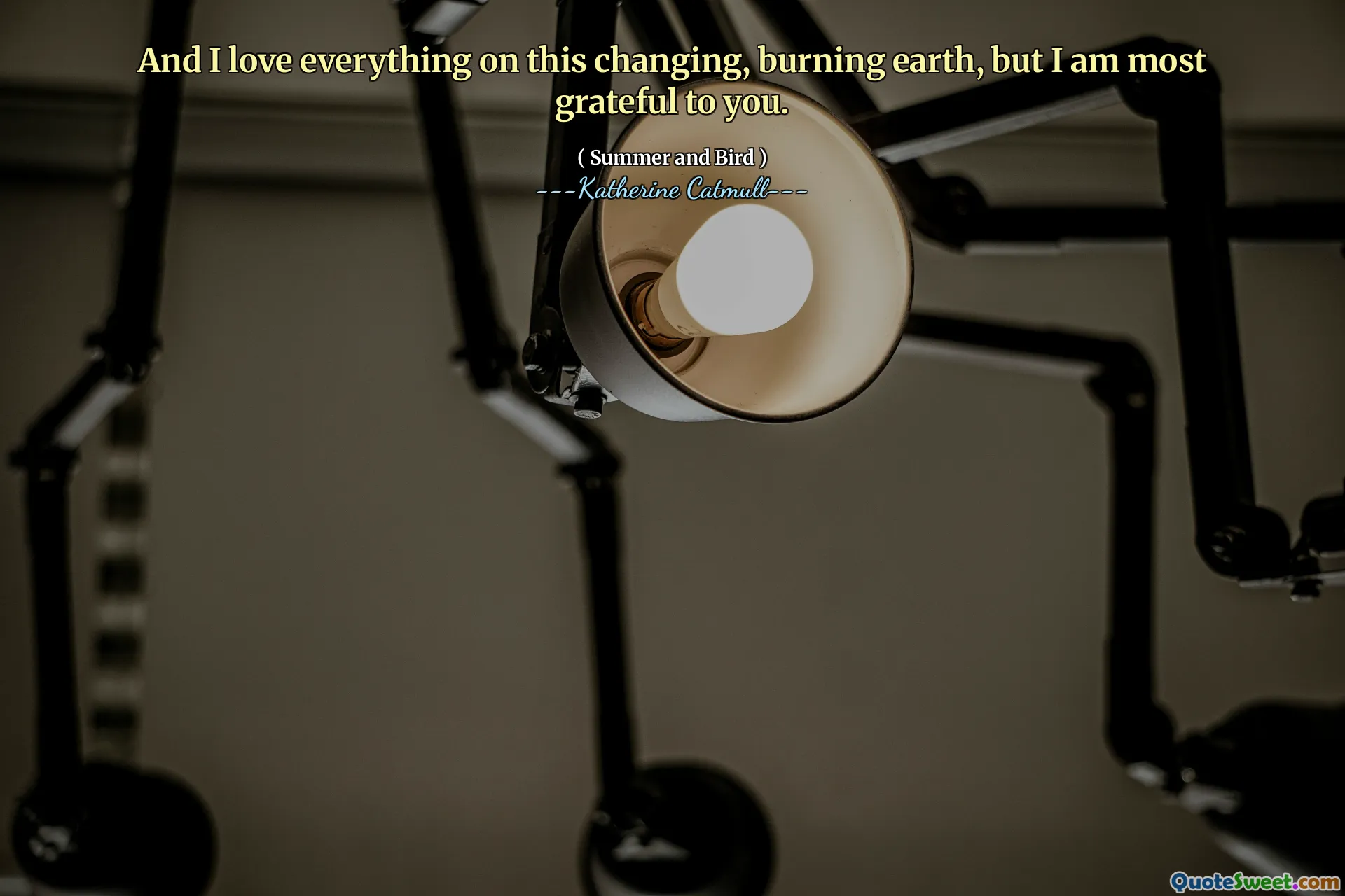 And I love everything on this changing, burning earth, but I am most grateful to you.