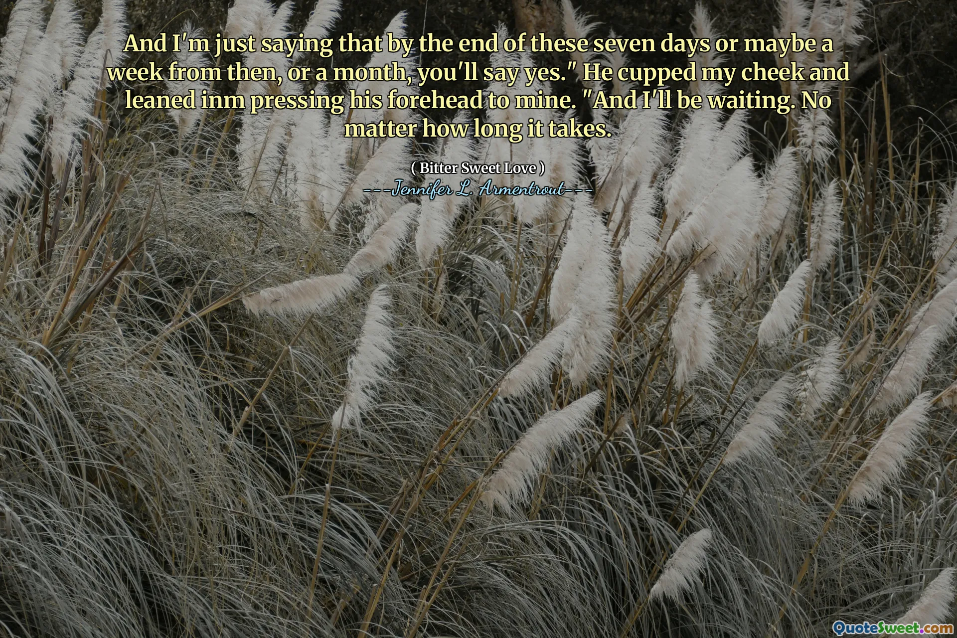 And I'm just saying that by the end of these seven days or maybe a week from then, or a month, you'll say yes." He cupped my cheek and leaned inm pressing his forehead to mine. "And I'll be waiting. No matter how long it takes.
