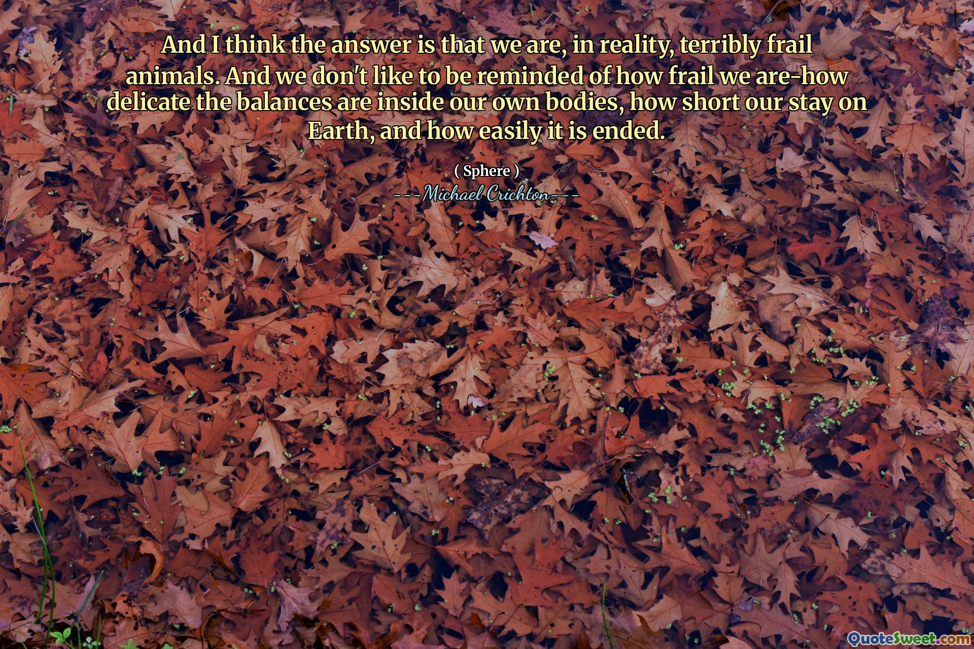 我认为答案是实际上我们是非常脆弱的动物。而且，我们不想想起我们的脆弱性，这些余额在我们自己的身体内部，我们在地球上的停留时间有多短，以及它的容易结束。