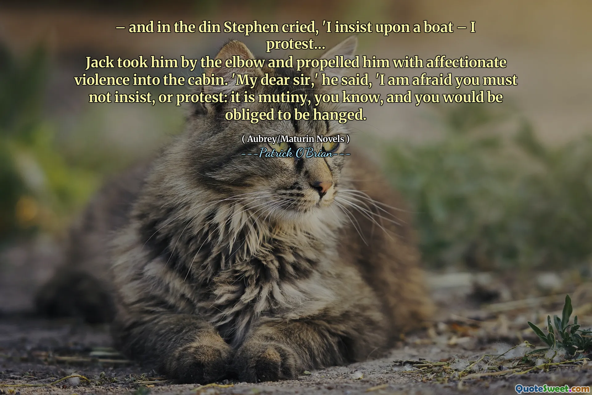 – and in the din Stephen cried, 'I insist upon a boat – I protest…
Jack took him by the elbow and propelled him with affectionate violence into the cabin. 'My dear sir,' he said, 'I am afraid you must not insist, or protest: it is mutiny, you know, and you would be obliged to be hanged.