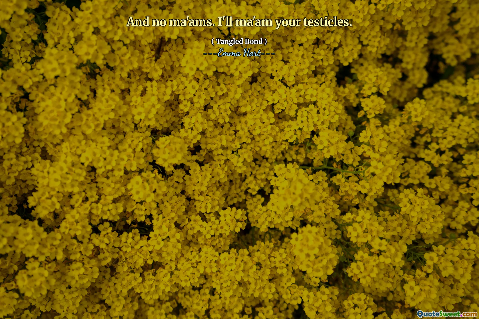 E niente signora. Signorò i tuoi testicoli.