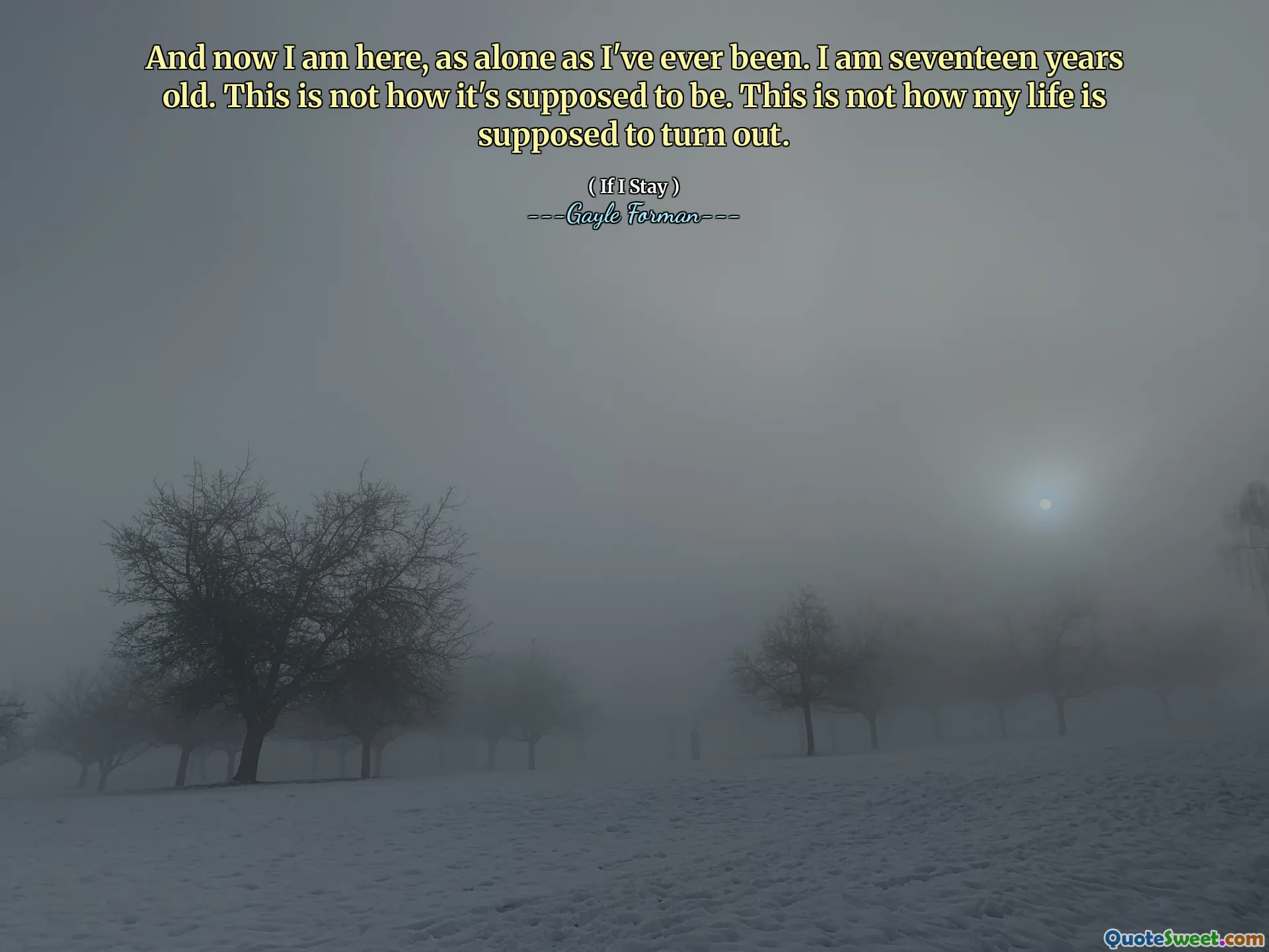 And now I am here, as alone as I've ever been. I am seventeen years old. This is not how it's supposed to be. This is not how my life is supposed to turn out.
