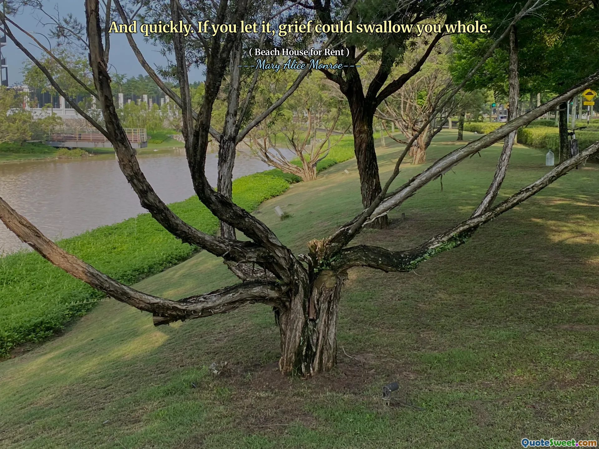 I szybko. Jeśli na to pozwolisz, smutek może cię przełknąć w całości.