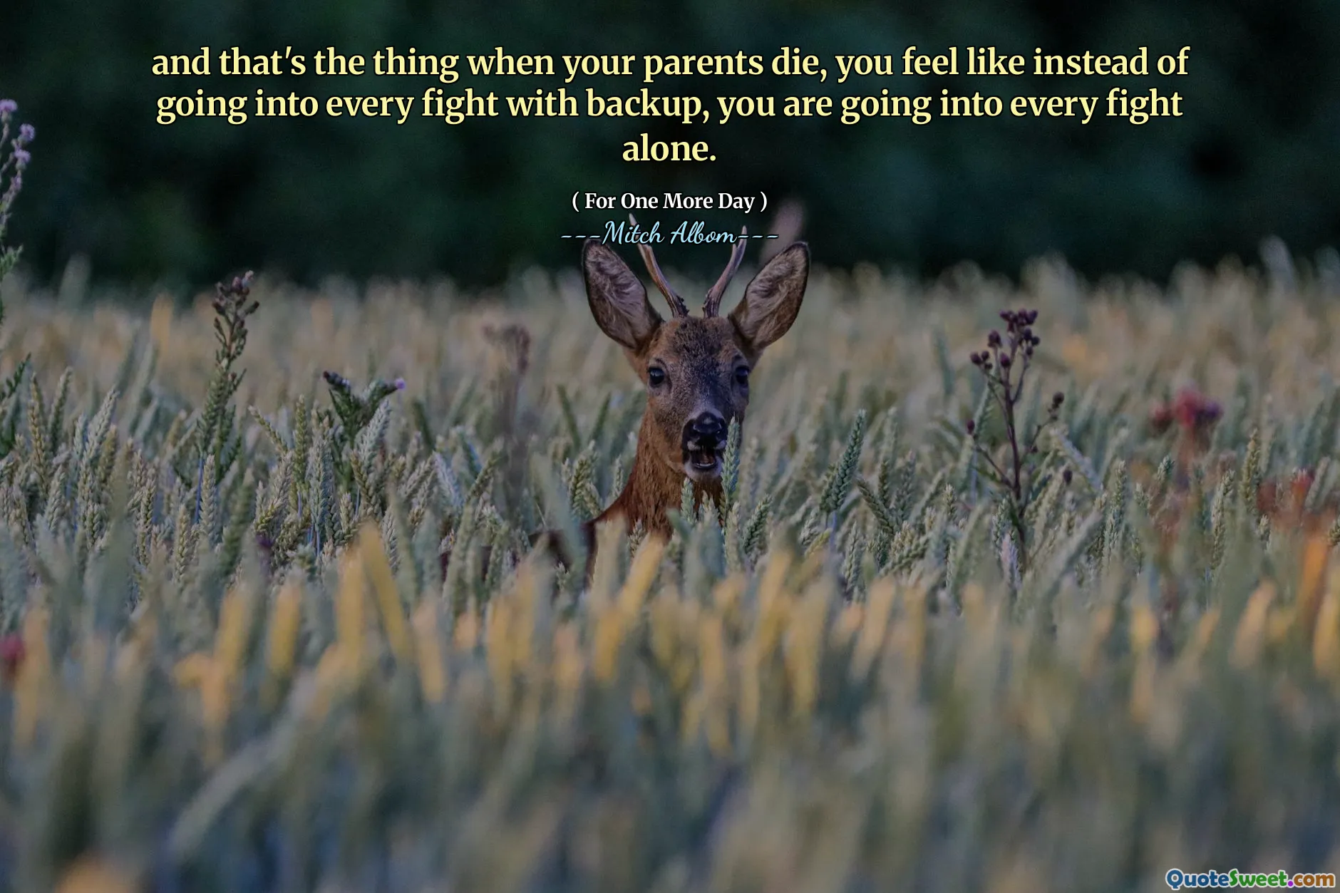 and that's the thing when your parents die, you feel like instead of going into every fight with backup, you are going into every fight alone.